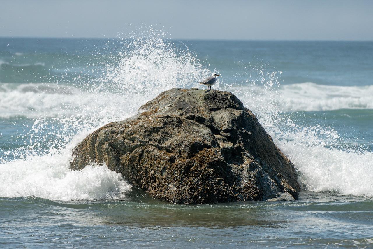 Tamron 70-180mm F/2.8 Di III VXD for Sony Full Frame/APS-C E-Mount (Original Version) customer photo 1