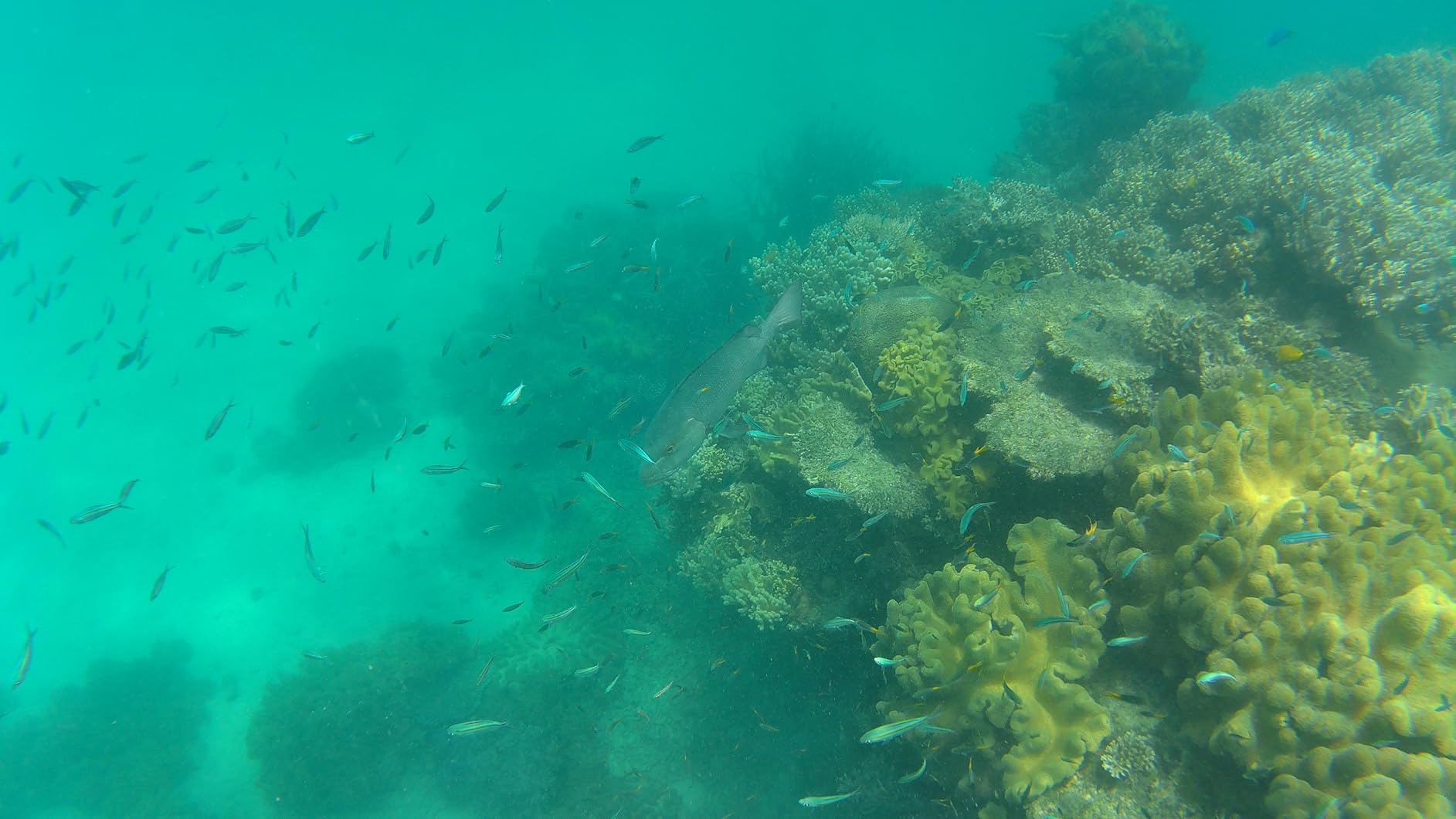 AKASO Brave 7 LE 4K30FPS 20MP WiFi Action Camera with Touch Screen EIS 2.0 Zoom Remote Control 131 Feet Underwater Camera with 2X 1350mAh Batteries Support External Microphone Vlog Camera customer photo 1