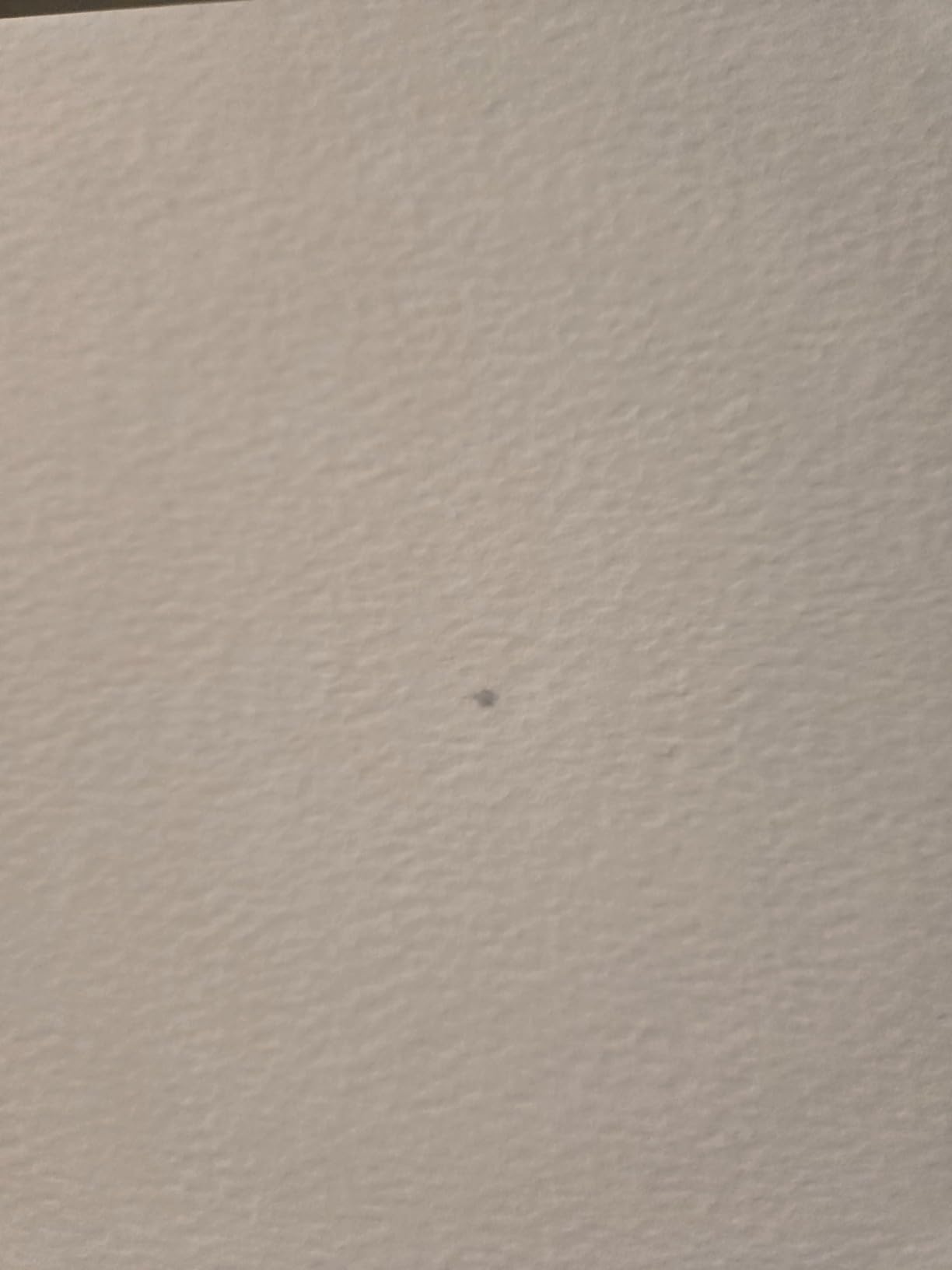 Canon Premium Fine Art Rough Paper (FA-RG1), 8.5' X 11', 25 Sheets (4562C002) customer photo 1