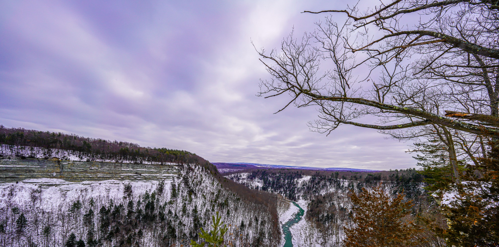 Sony FE 12-24mm F2.8 G Master Full-Frame Constant-Aperture Ultra-Wide Zoom Lens customer photo 2