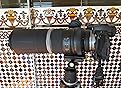 Canon RF 800mm F11 IS STM - Super Telephoto Lens for Wildlife and Travel customer photo 1