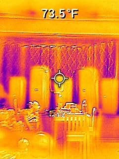 FLIR TG165-X Thermal Imaging Camera with Bullseye Laser: Commercial Grade Infrared Camera for Building Inspection, HVAC and Electrical customer photo 1