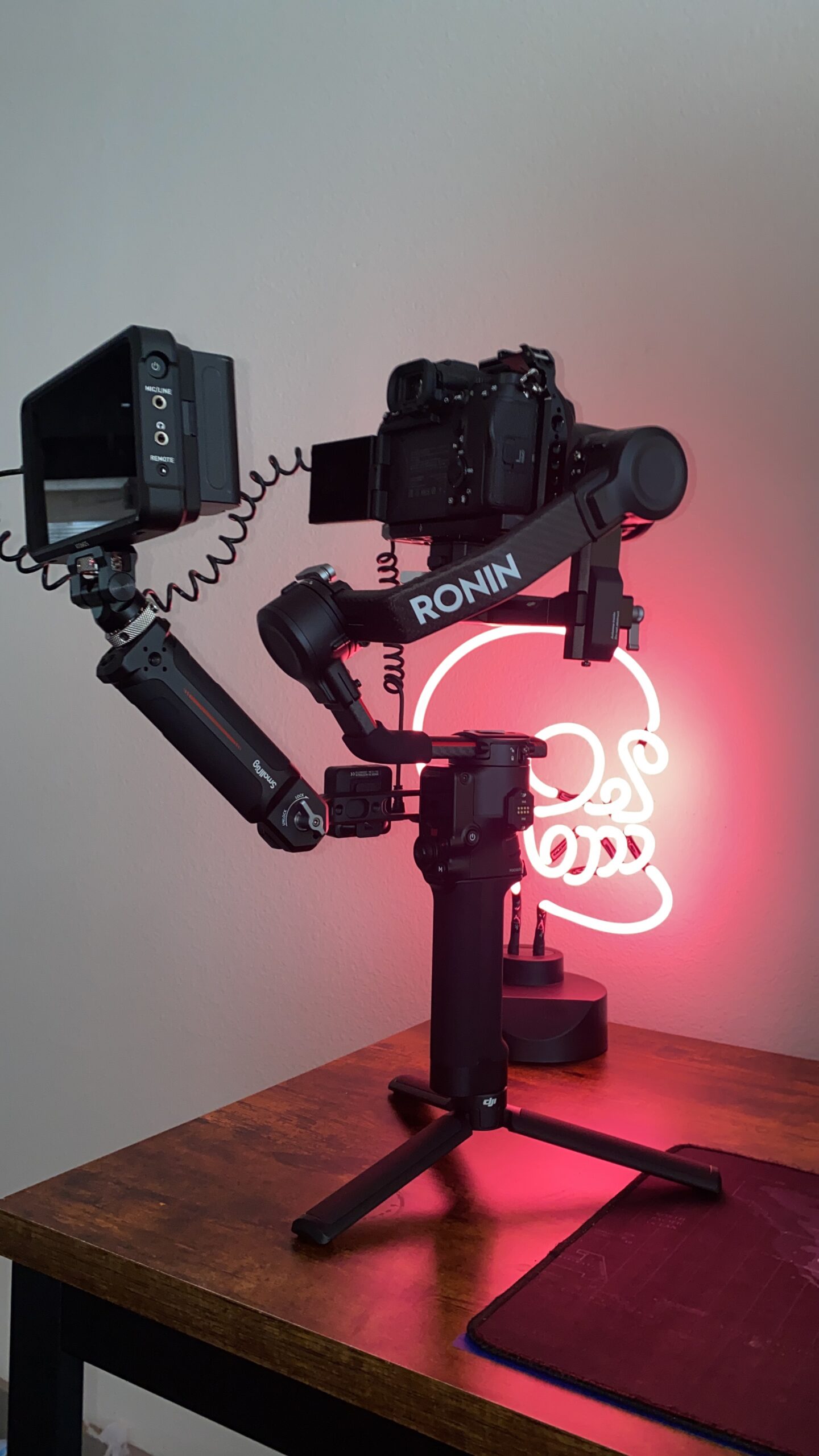 RS 2 - 3-Axis Gimbal Stabilizer for DSLR and Mirrorless Cameras, Nikon, Sony, Panasonic, Canon, Fuji, 10lbs Tested Payload, 1.4
