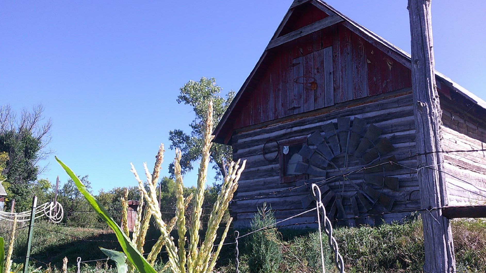 Video Camera Camcorder Digital Camera Recorder Full HD 1080P 15FPS 24MP 3.0 Inch 270 Degree Rotation LCD 16X Digital Zoom Camcorder Camera with 2 Batteries(Black) customer photo 2