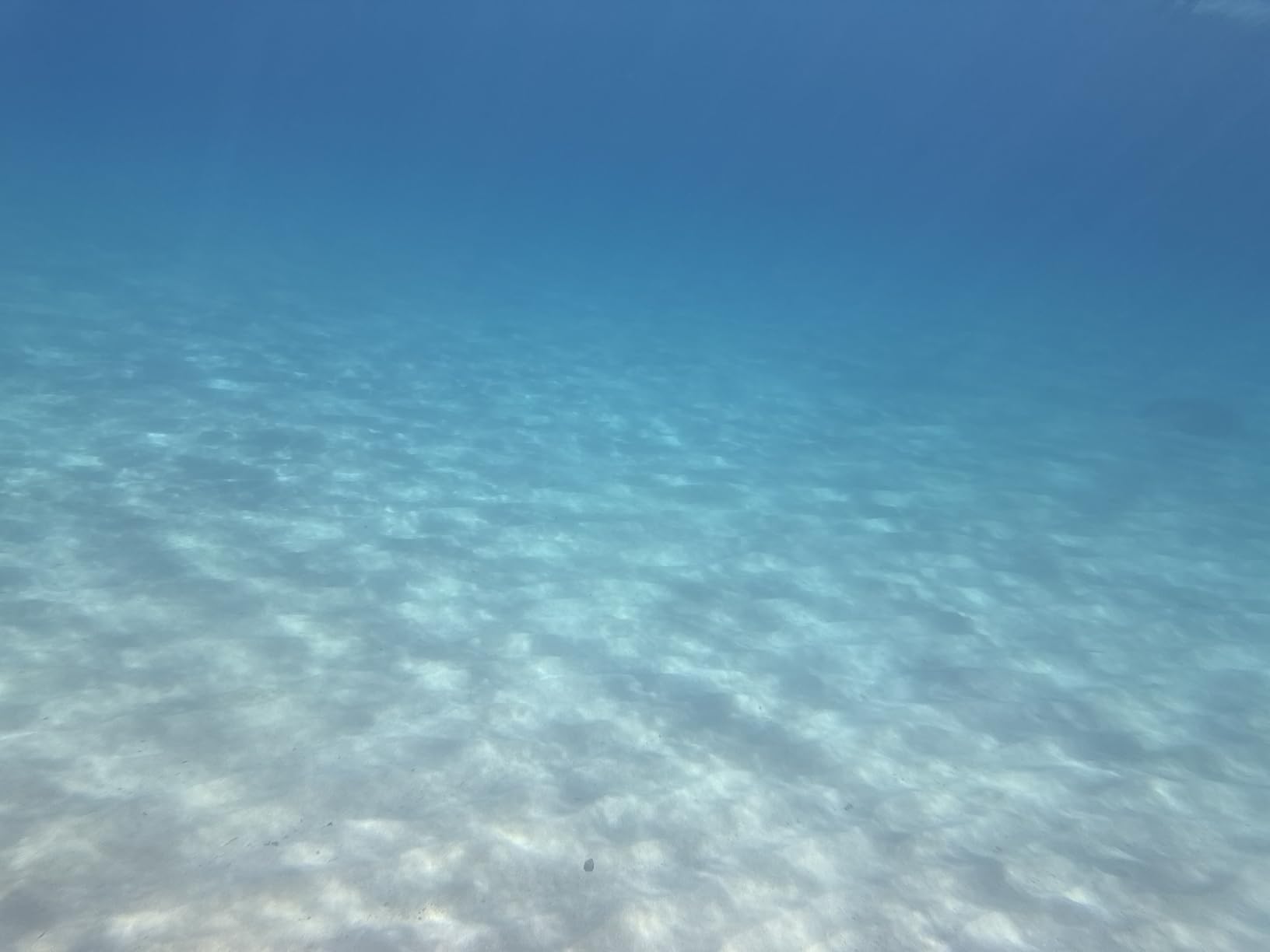 SeaLife SportDiver Underwater Smartphone Housing - Dive to 130', Waterproof Photography, Easy Camera Controls, with Leak Alarms, Fits Most Phones customer photo 1