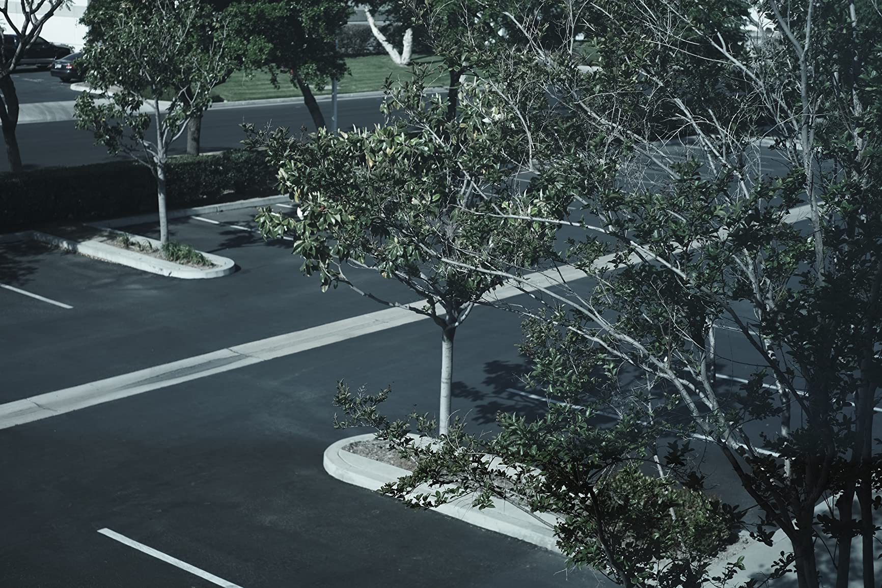 Fujifilm X-S10 Mirrorless Camera Body - Black customer photo 1