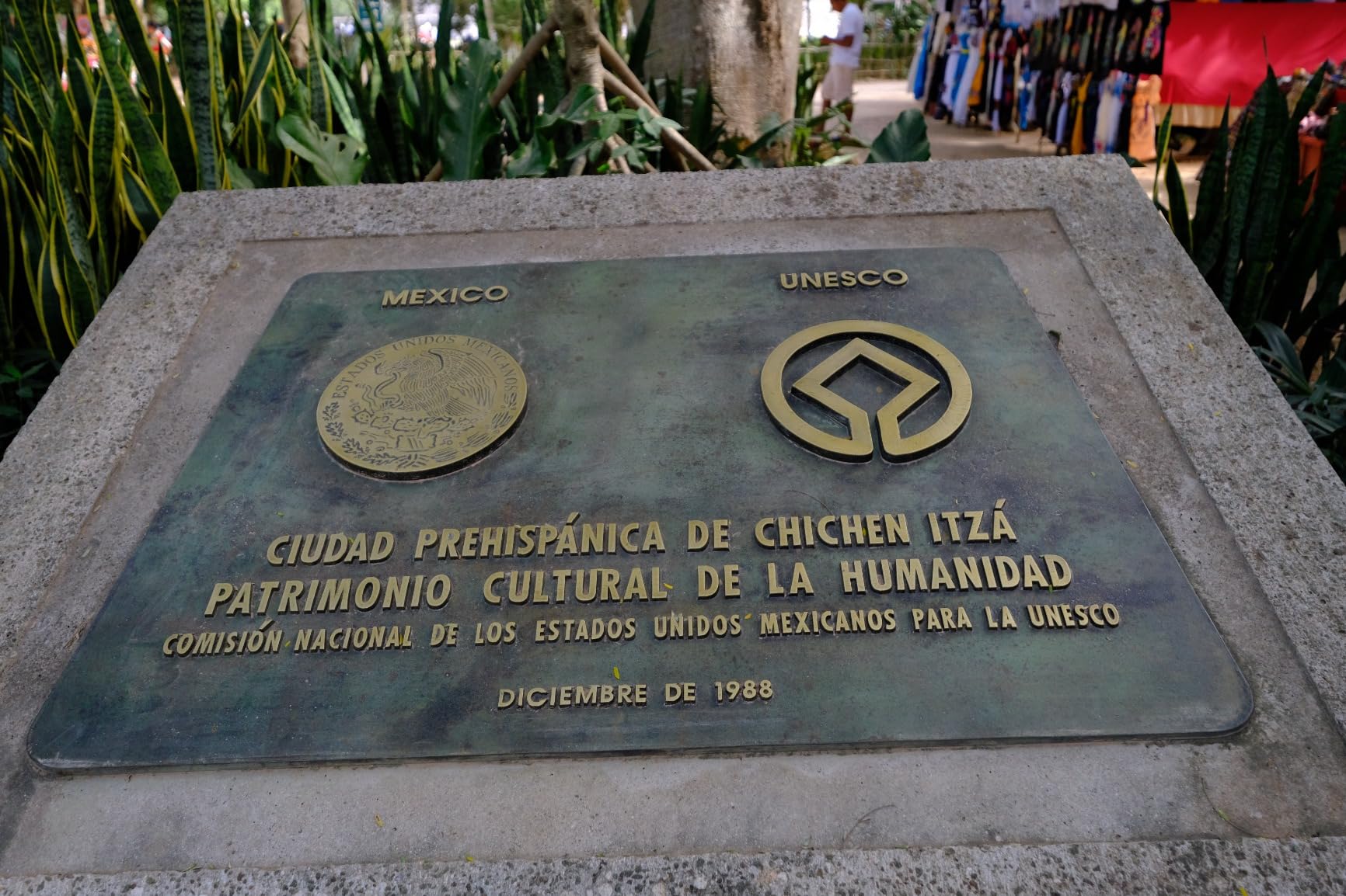 XF10-24mmF4 R OIS WR customer photo 1