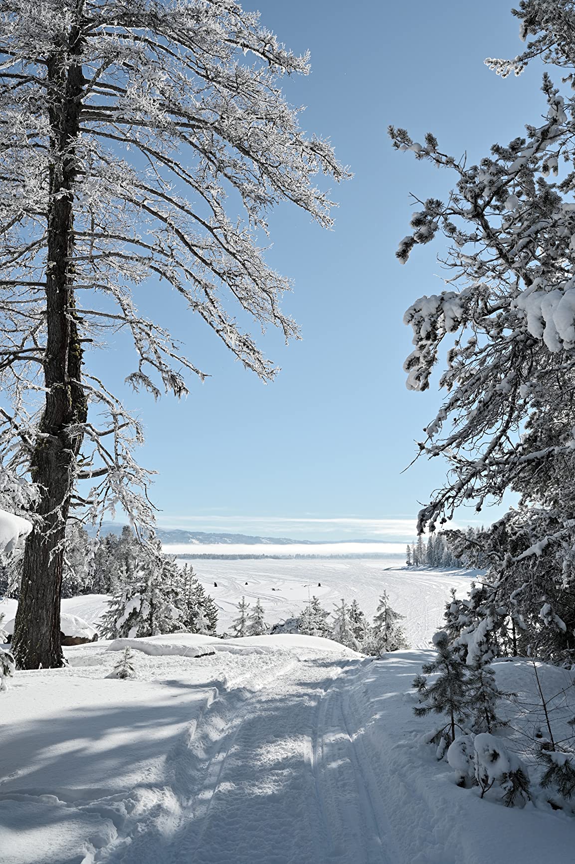 Nikon Z 6II with Zoom Lens | Versatile full-frame mirrorless stills/video hybrid camera with 24-70mm f/4 lens customer photo 1