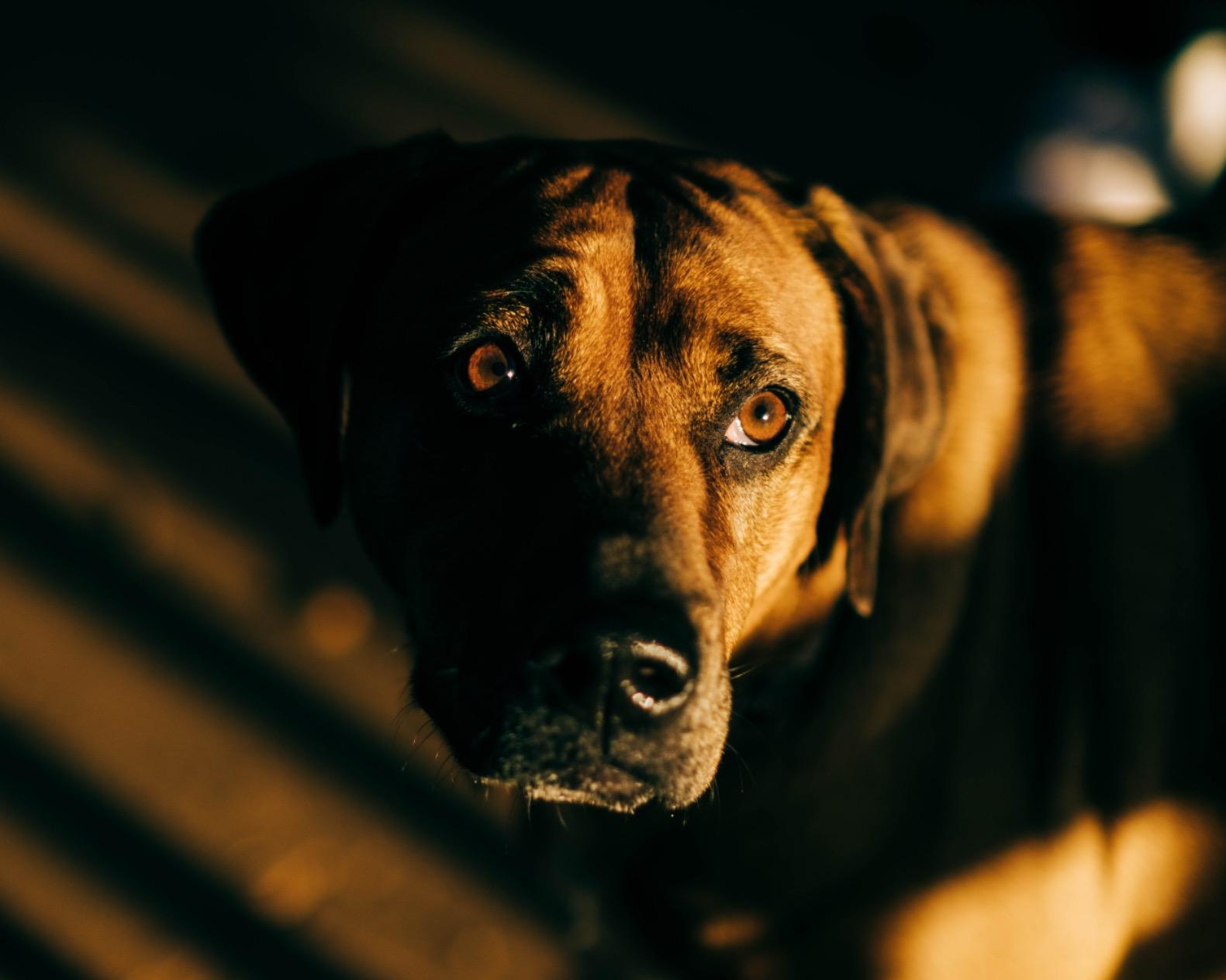 56mm F1.4 XF Large Aperture Auto Focus Portrait Lens for Fujifilm X-Mount Camera customer photo 1