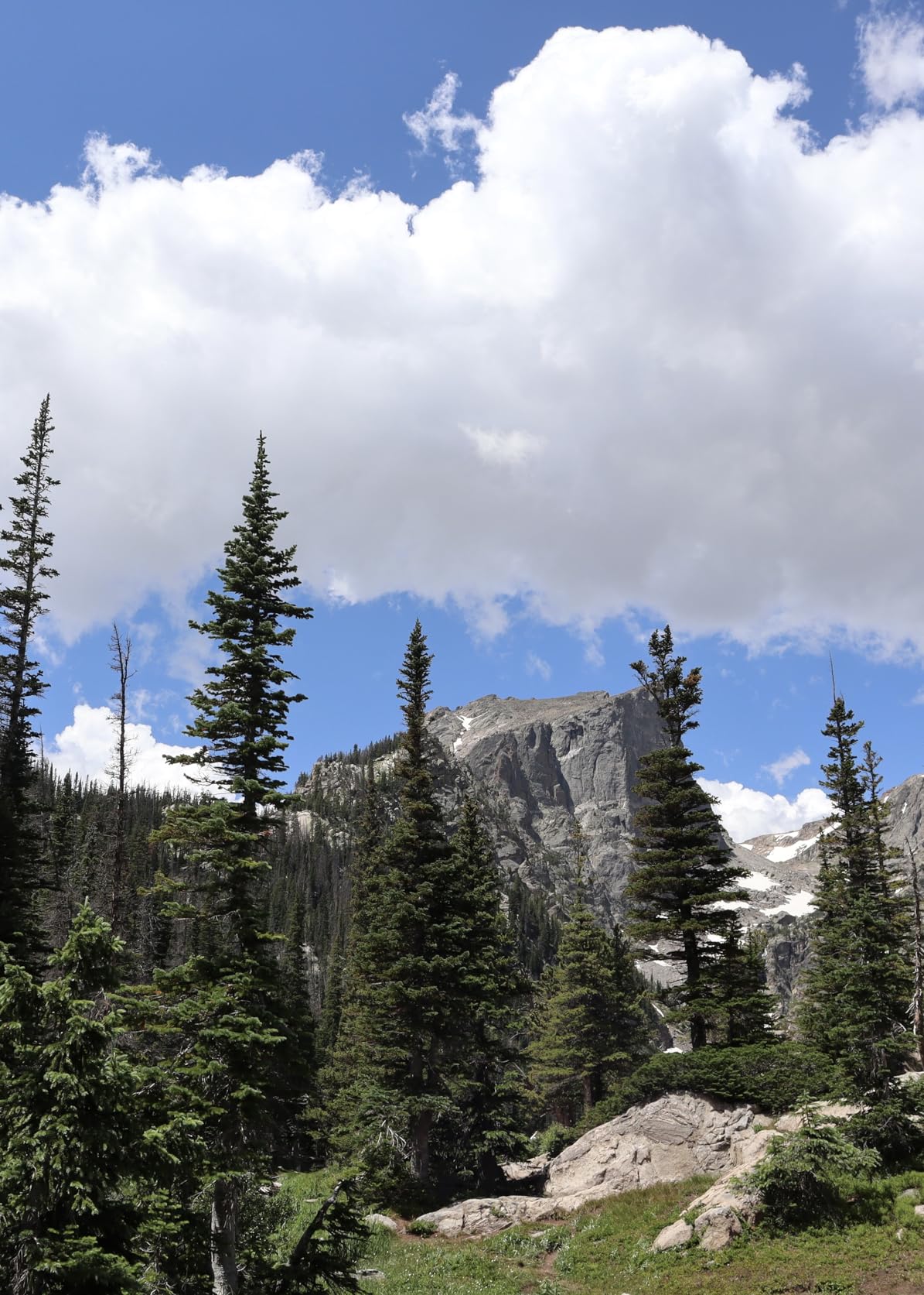 Canon EOS M50 Mark II + EF-M 15-45mm is STM Kit (Renewed) customer photo 1