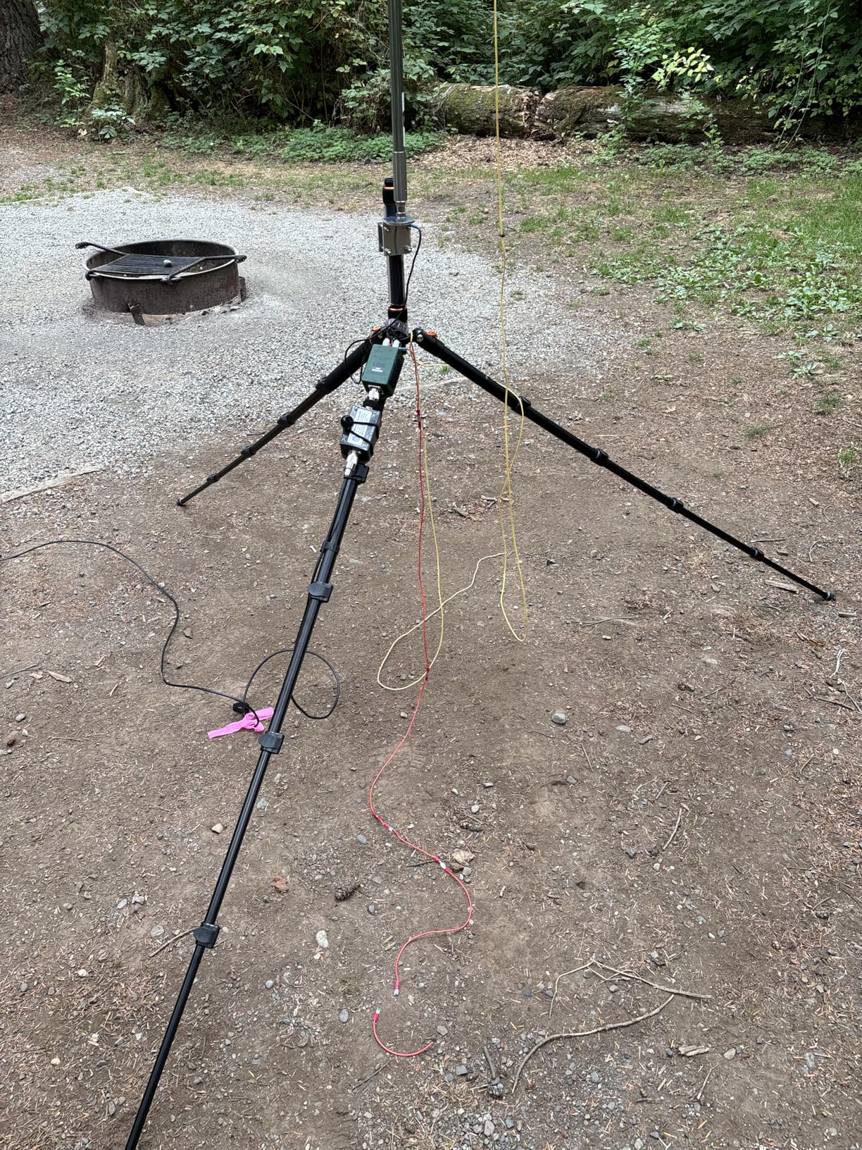 JOILCAN Tripod for Camera, 81