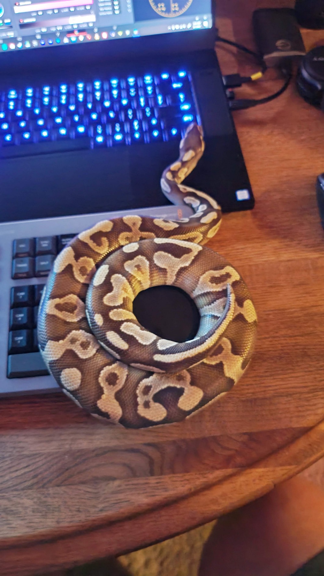 Blackmagic Design Davinci Resolve Speed Editor Bundle with Davinci Resolve 18 Studio (Activation Card) customer photo 1