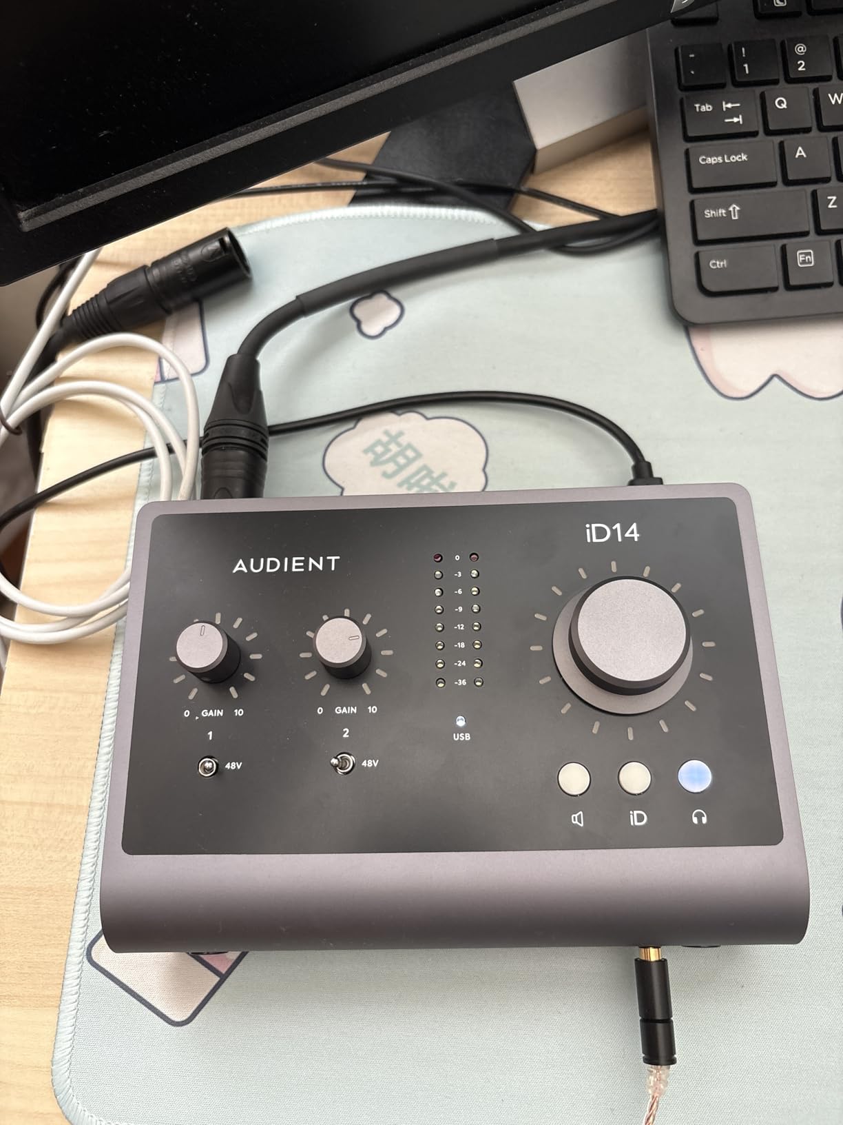 Audient iD14 MKII USB Audio Interface with Class-A Mic Preamps customer photo 2