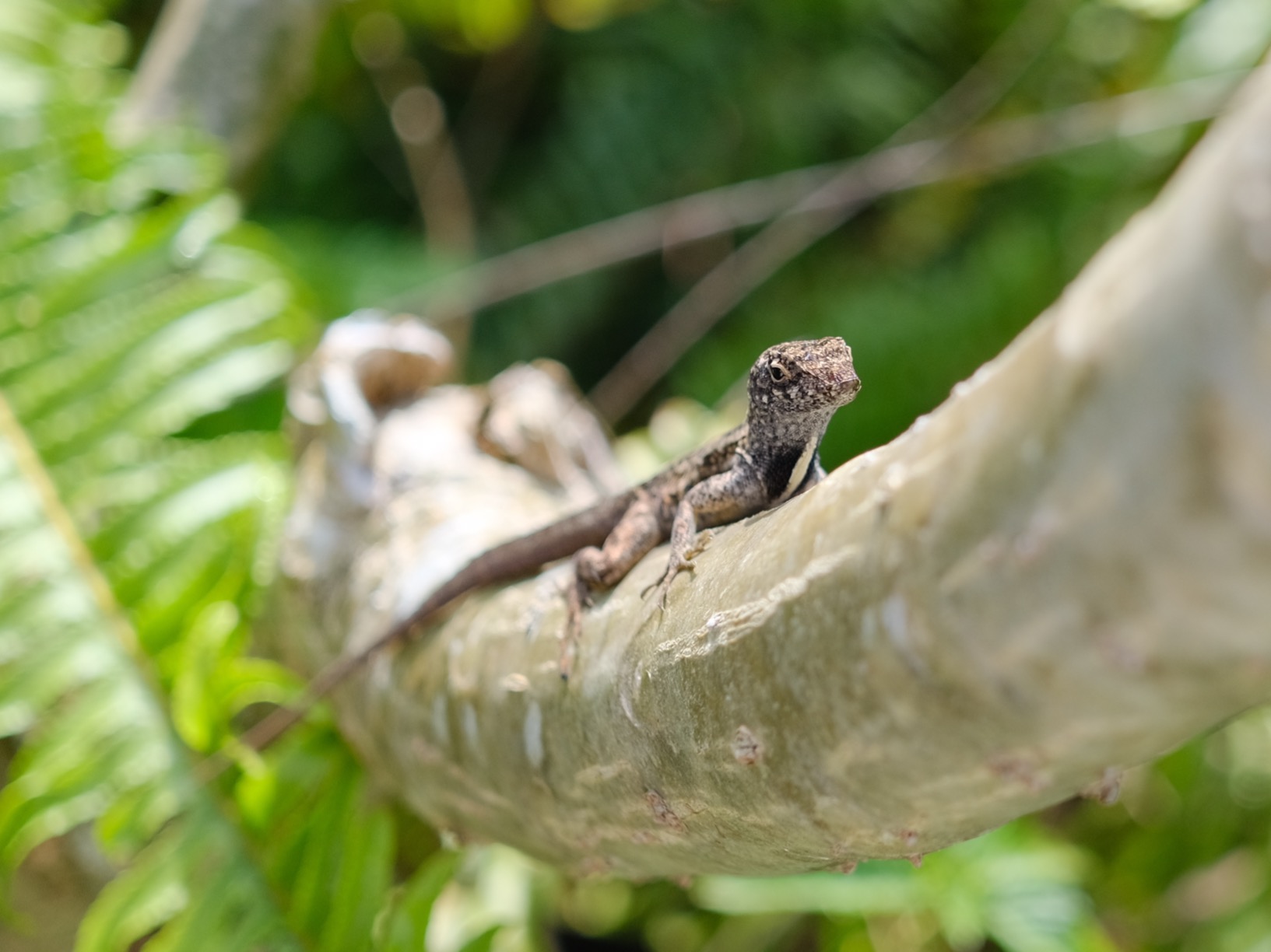 Fujifilm X-E4 Body - Black customer photo 1