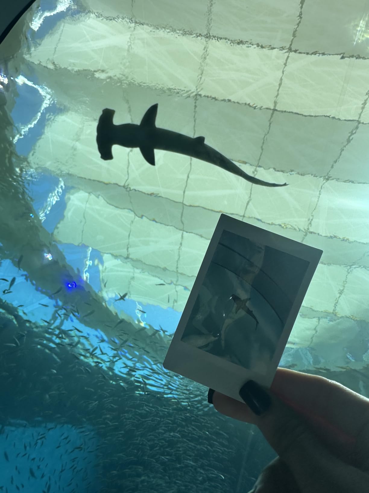 Instax Mini 12 Instant Camera Lilac Purple + Fuji Film Value Pack (40 Sheets) + Shutter Accessories Bundle, Incl. Compatible Carrying Case, Quicksand Beads Photo Album 64 Pockets customer photo 1