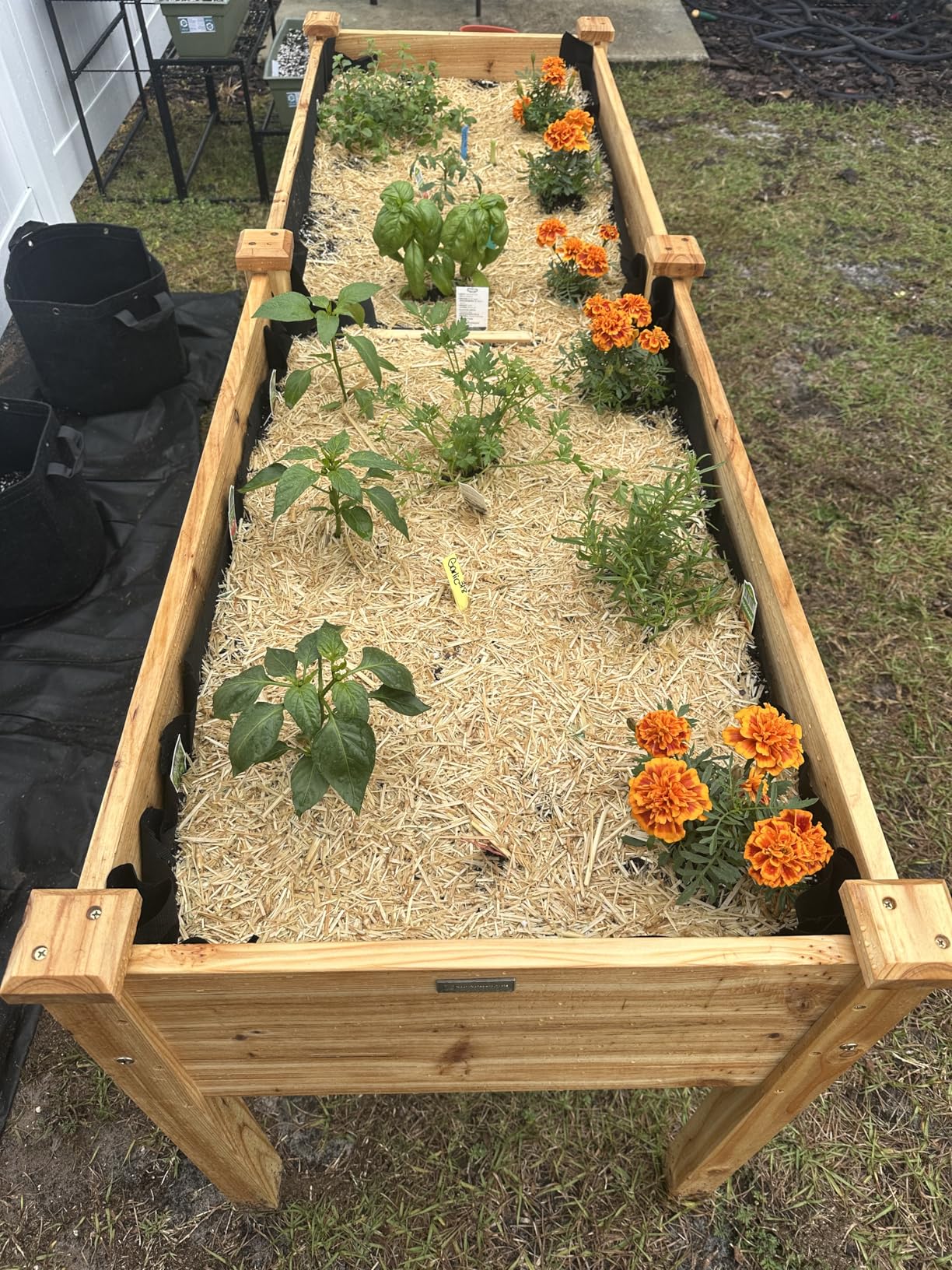 Best Choice Products 72x24x30in Raised Garden Bed, Elevated Wood Planter Box Stand for Backyard, Patio, Balcony w/Divider Panel, 6 Legs, 300lb Capacity - Natural customer photo 1