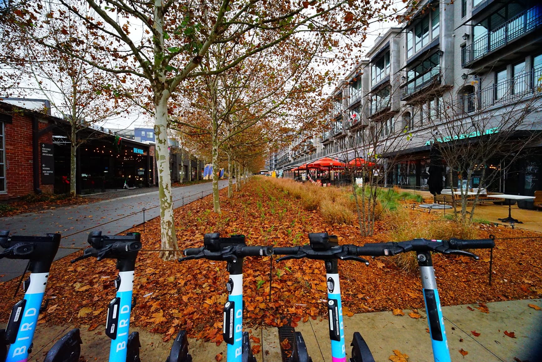 VILTROX 85mm f/1.8 F1.8 Mark II Full-Frame E-Mount Camera Lens Support AF Auto Focus for Sony A7II A7III A7RIII A7SIII A7II A7RIV A9 A6600 A6500 A6400 A6300 A6100 A6000 A5100 A5000 A7C A7R customer photo 1