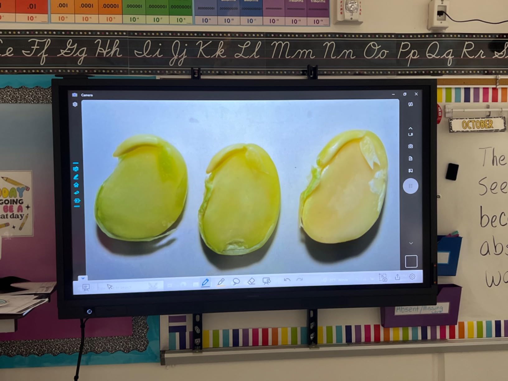 INSWAN INS‑2 4K USB Document Camera - 13MP, Dual Auto‑Focus, LED Light and Microphone, Plug & Play, Mac, Windows, iPad, Chromebook, A3 Capture - Ideal for Teachers and Classrooms customer photo 1