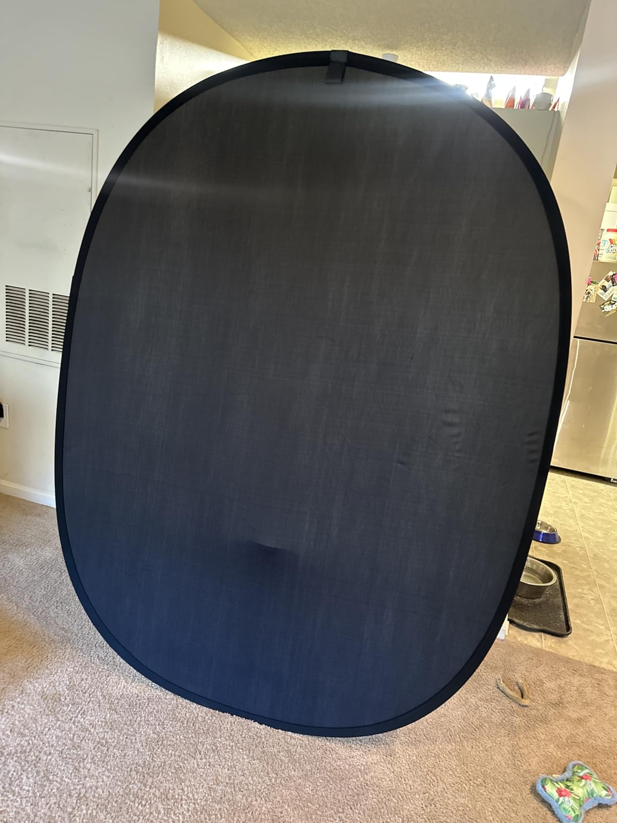 Koopro 5'x7' Collapsible Twist Background Double-Sided Pop Up Flex Backdrops Chroma Black & White Portrait Screen Professional Video Photography and Television Studio Props with Carrying Case customer photo 2