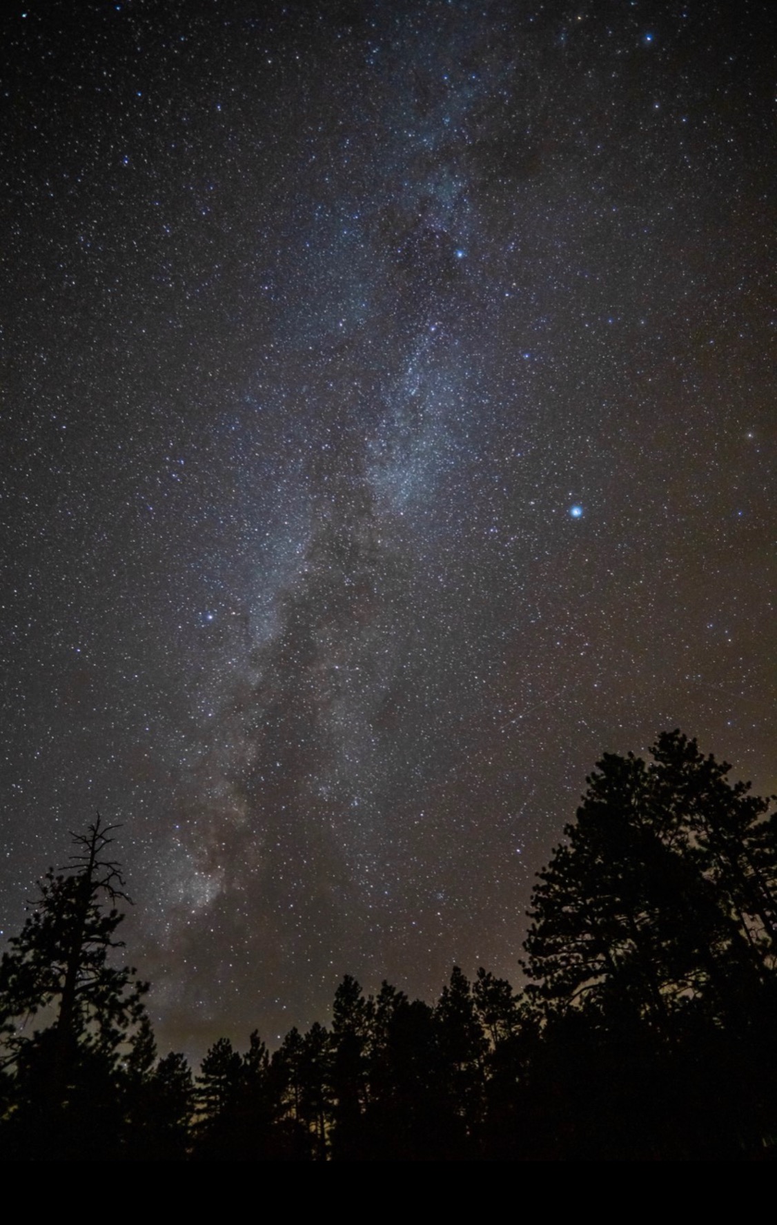 Rokinon AF 12mm F2.0 Auto Focus Lens for Sony E APS-C - Ultra Wide Angle, Lightweight, Weather Sealed, Quiet STM Motor, Fast Aperture, UMC Glass, Ideal for Architecture, Interior, Travel, Night customer photo 1