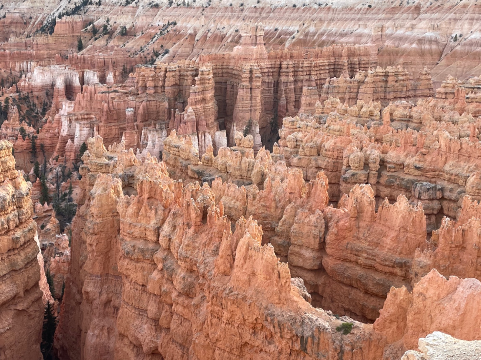 Rokinon AF 12mm F2.0 Auto Focus Lens for Sony E APS-C - Ultra Wide Angle, Lightweight, Weather Sealed, Quiet STM Motor, Fast Aperture, UMC Glass, Ideal for Architecture, Interior, Travel, Night customer photo 2