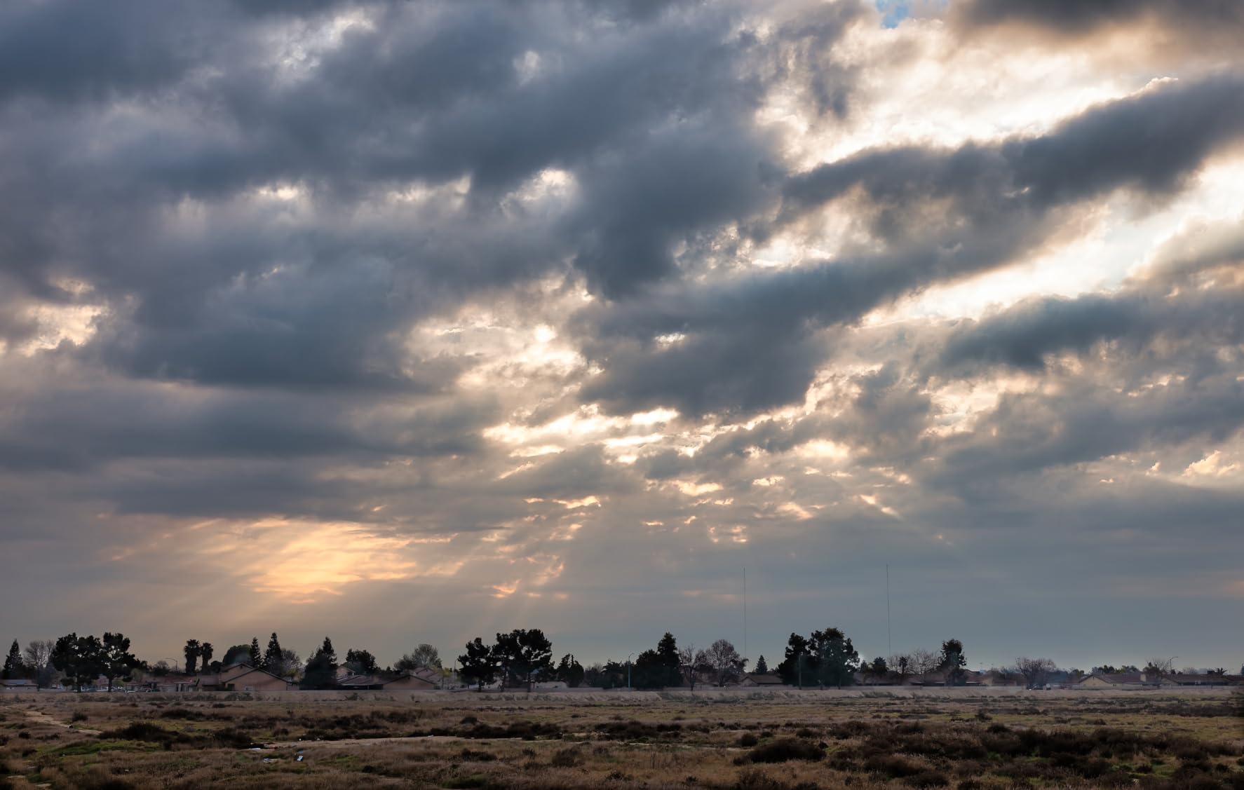 Sigma 35mm F1.4 DG DN Art for L Mount customer photo 2