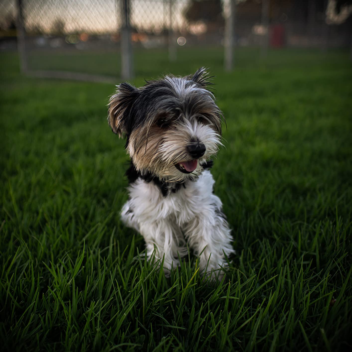 TTArtisan 21mm F1.5 Full Fame Wide Angle Lens for Leica M-Mount Cameras Like M2 M3 M4 M9 M10 M11 Silver customer photo 2