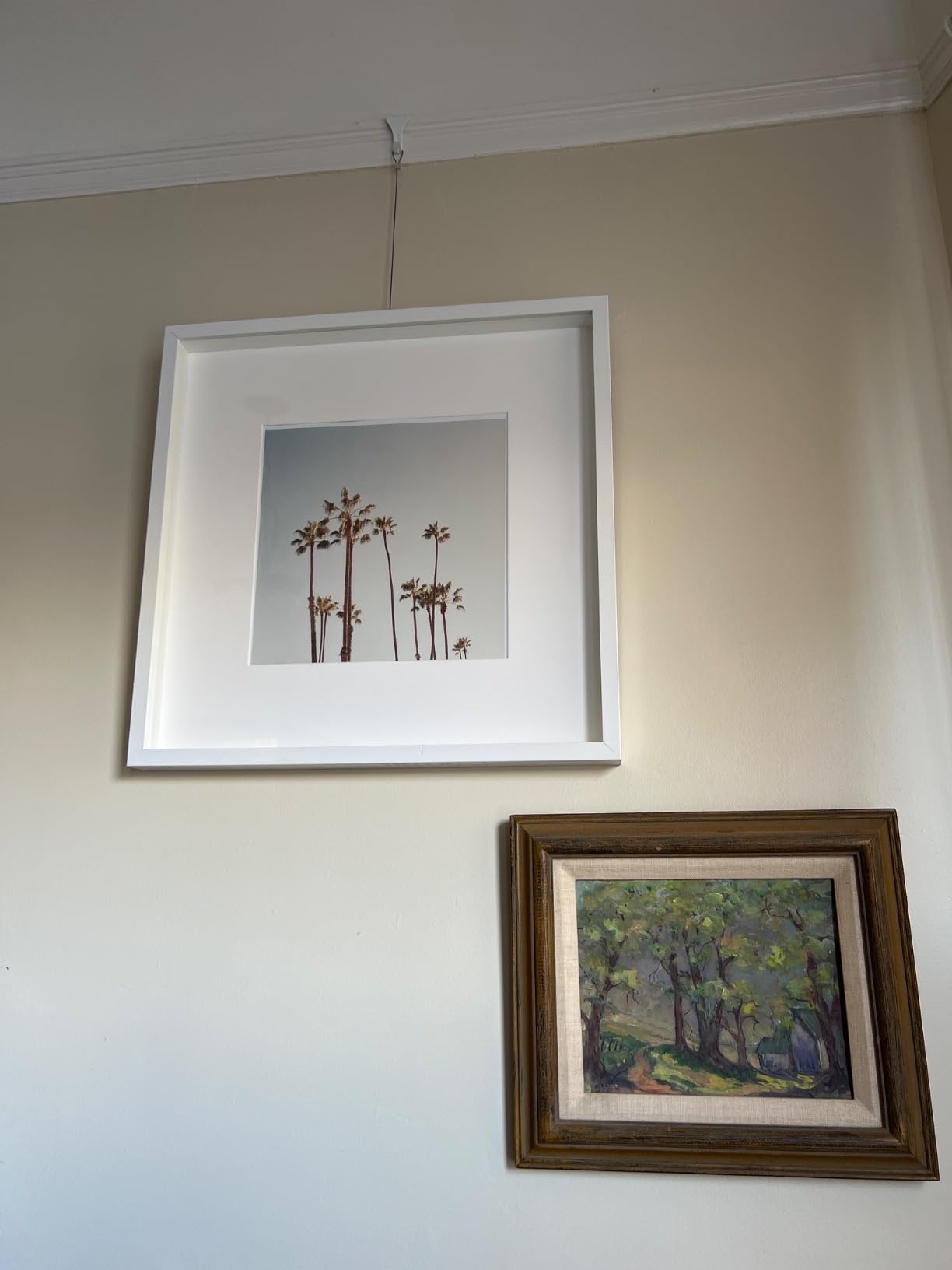 Picture Hanging Kit - Picture Rail Hooks with 6 of Each White Rail Hooks, 72 Inch Invisible Loop Cord, 6 Adjustable Hooks - Stainless Steel Picture Molding Hangers Nylon and Steel Cable customer photo 1