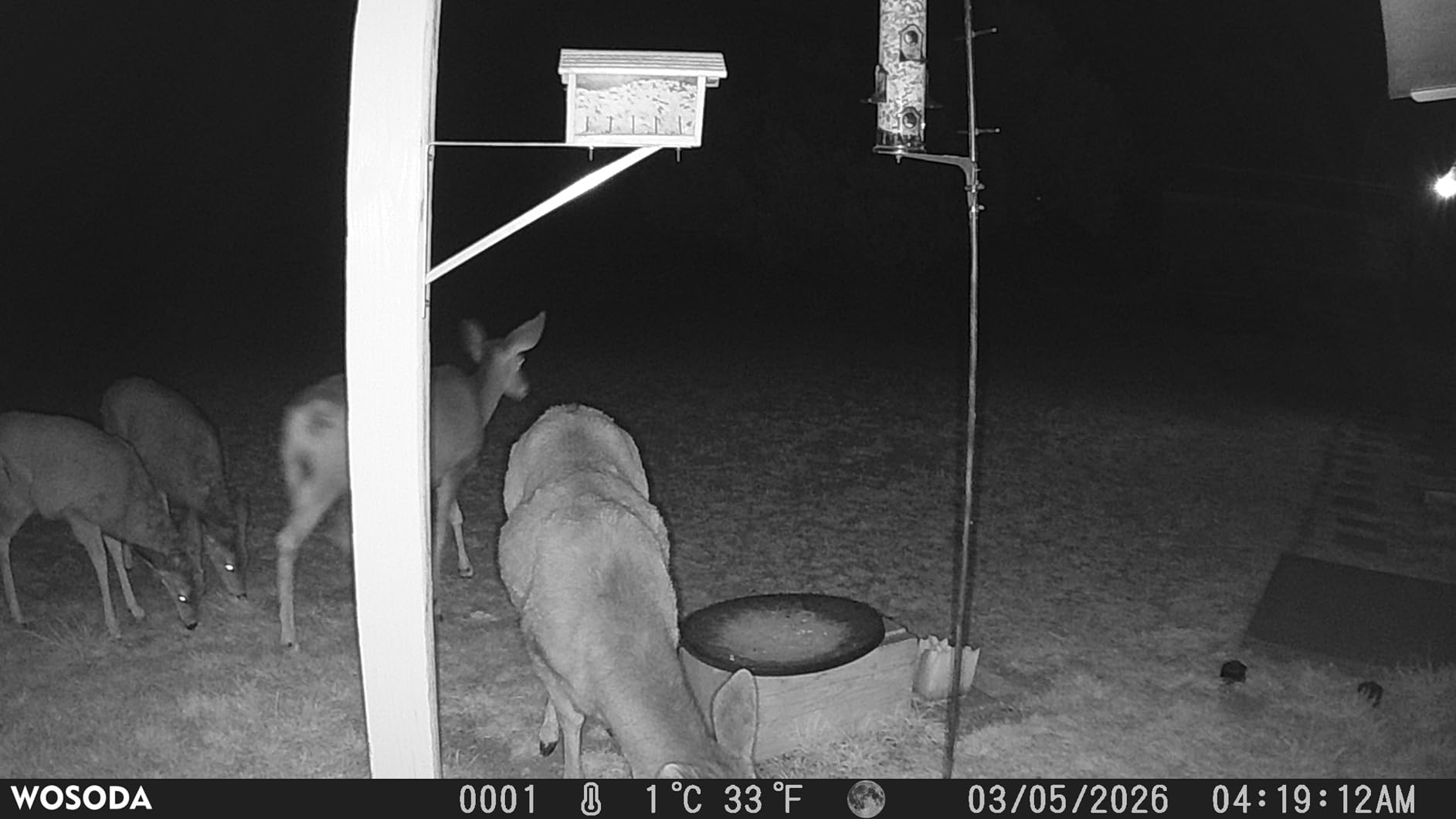 WOSPORTS Trail Camera, 48MP 4K 0.2S Trigger Motion Activated, Game Camera with Night Vision IP66 Waterproof 2.0''LCD 120°Wide Trail Cam Lens for Outdoor Scouting Wildlife Monitoring Home Security customer photo 2