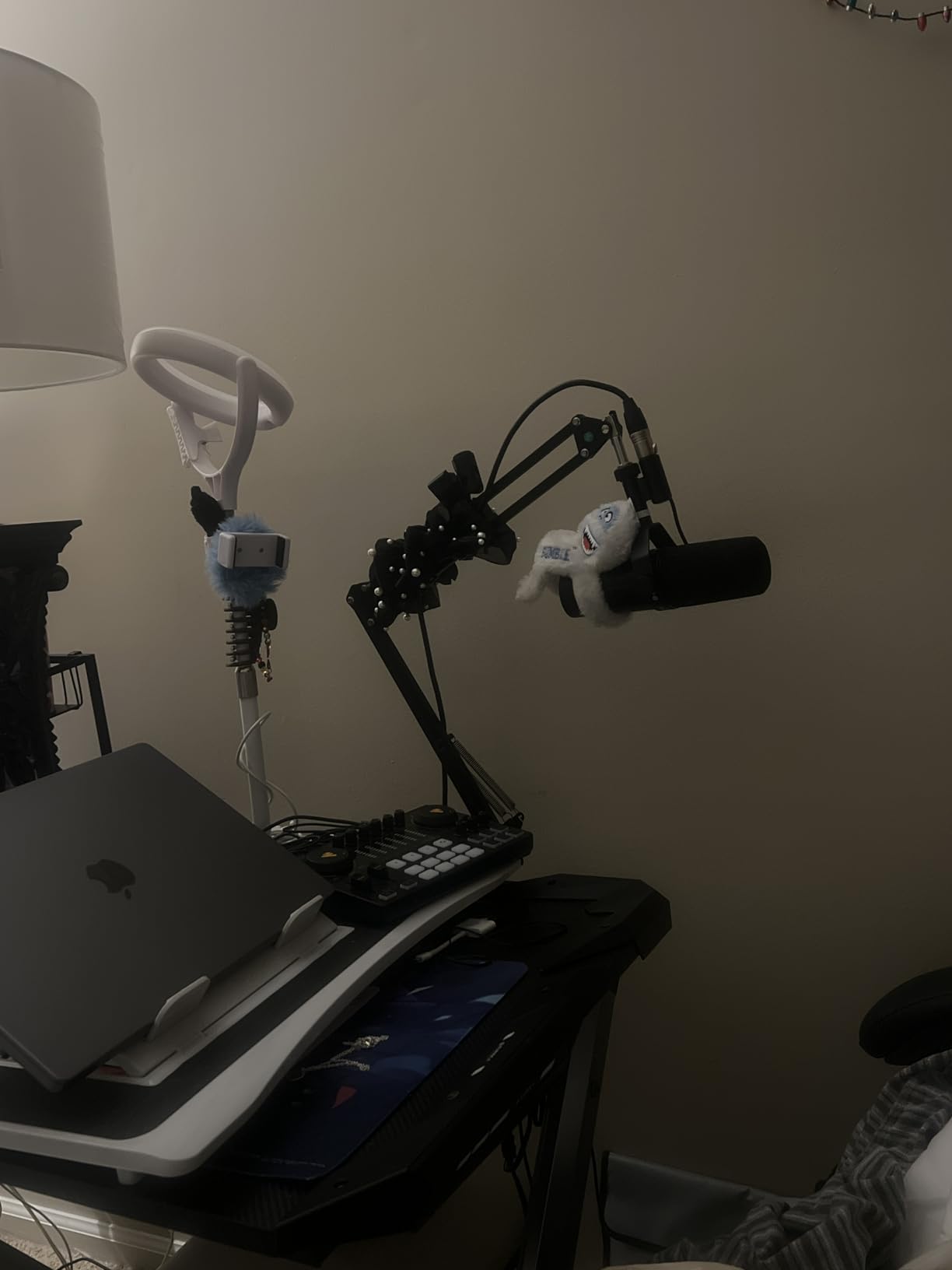 MV7X XLR Dynamic Microphone - Voice-Isolating Cardioid Mic for Podcasting, Vocal Recording & Broadcasting, All-Metal, Black customer photo 2