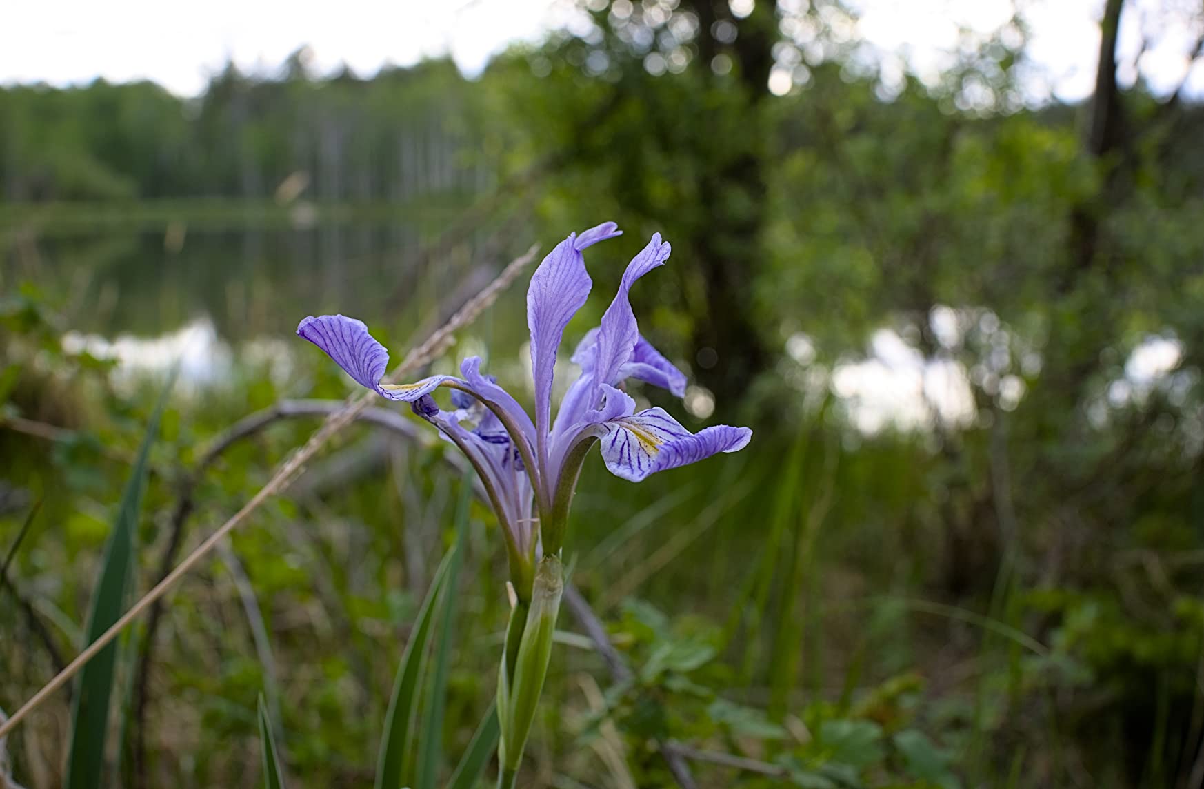 Fujinon XF23mmF1.4 R LM WR customer photo 1