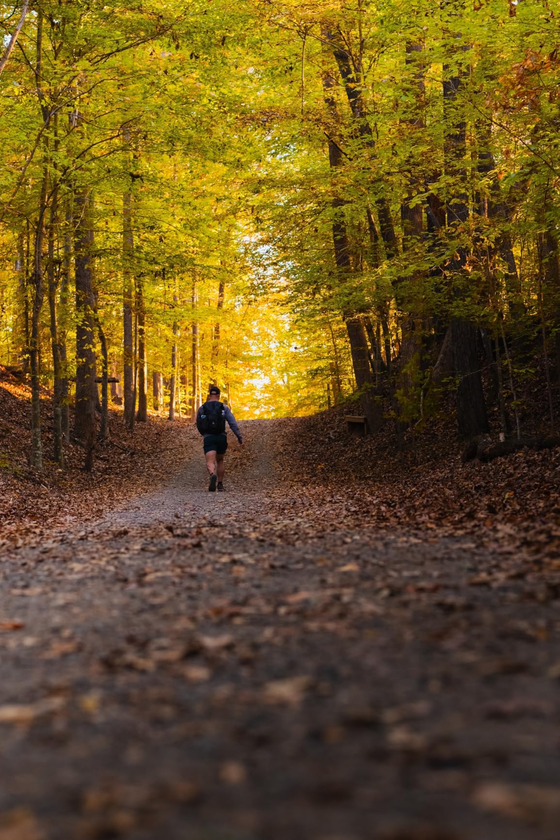 Panasonic Lumix S 24mm f/1.8 L-Mount Prime Lens customer photo 1