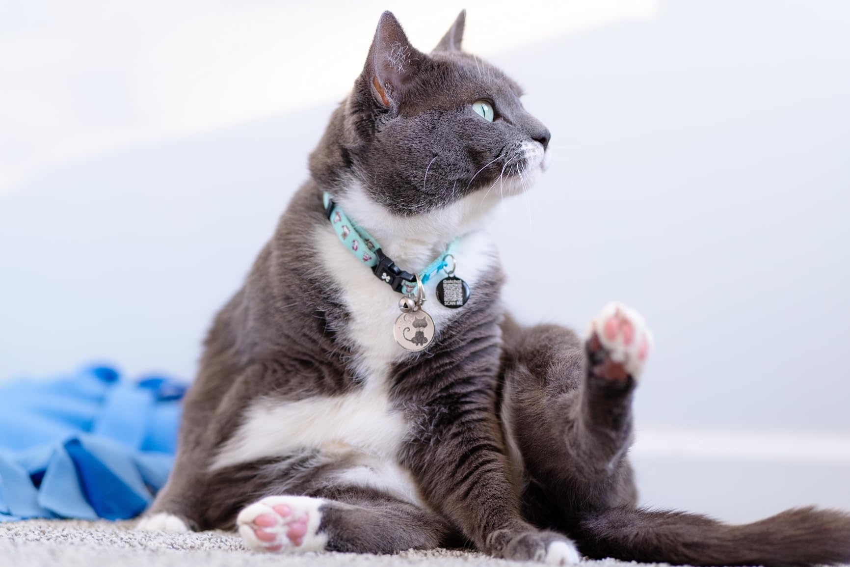 Panasonic Lumix S 24mm f/1.8 L-Mount Prime Lens customer photo 2