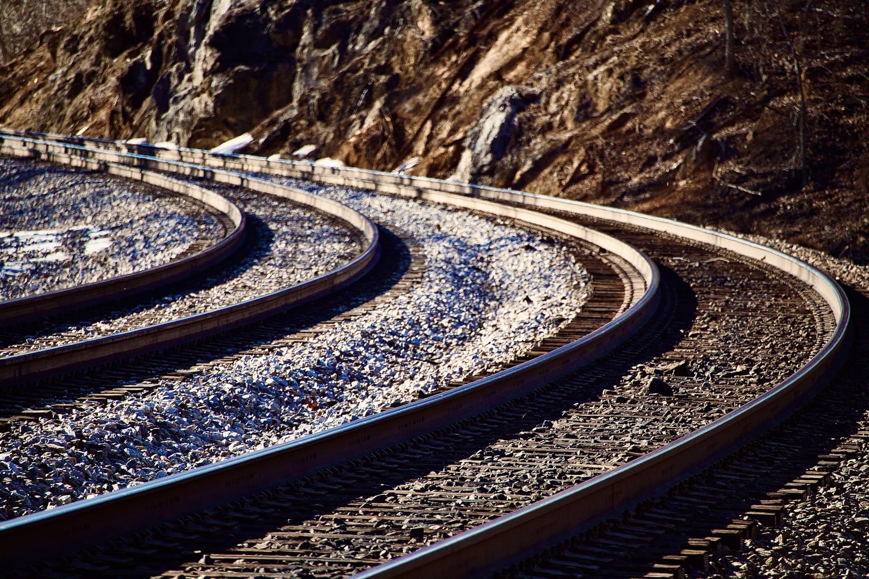 Canon RF100-400mm F5.6-8 IS USM Telephoto Lens, Black customer photo 2