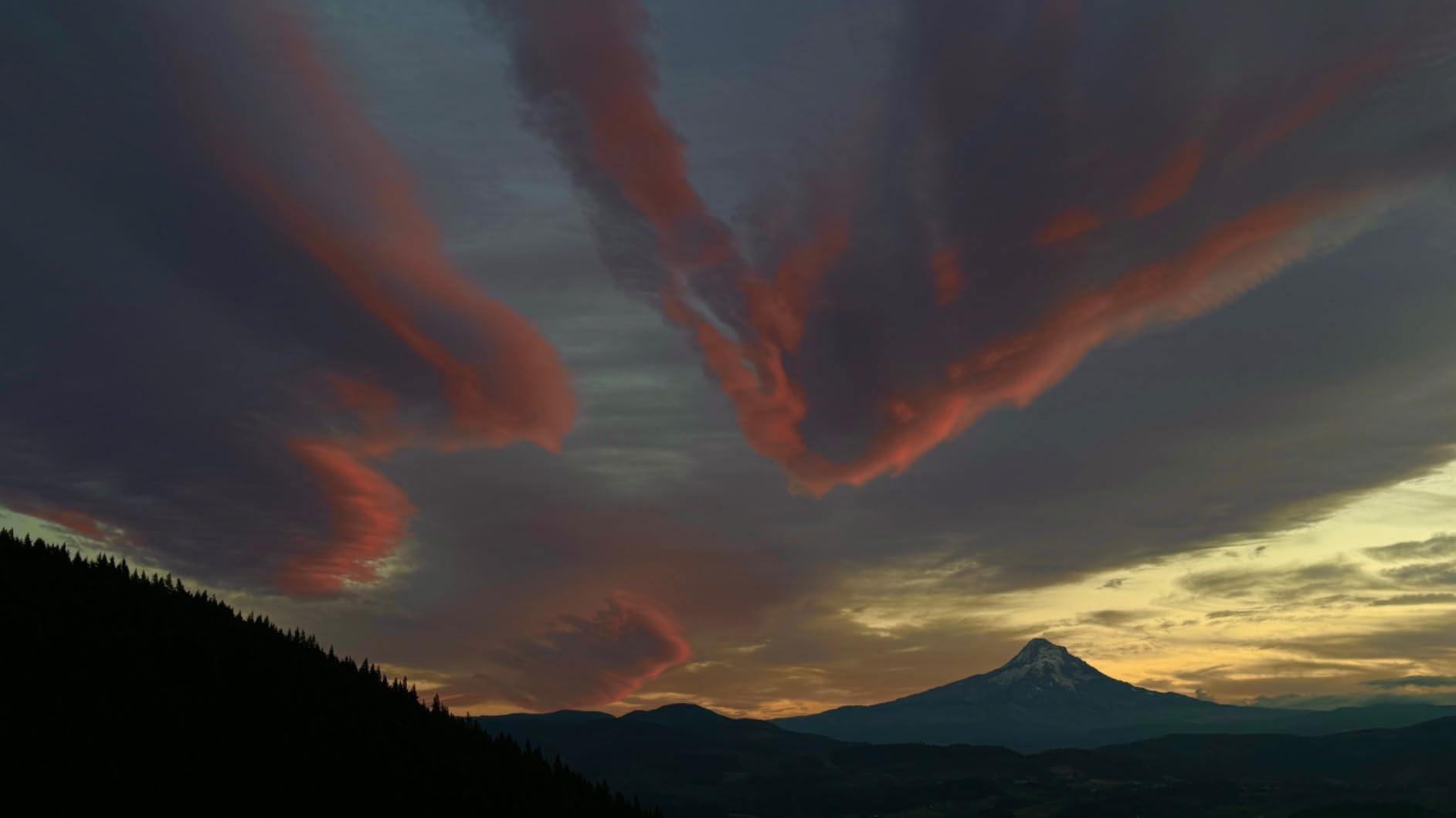 ProGrip Mobile Battery Grip, DSLR-Style Phone Camera Grip with Built-in Powerbank of Qi Charging, Ergonomic Handle with Wireless Shutter Button, Phone Stand Dock, Built-in Cold-Shoe and Tripod Mount customer photo 2