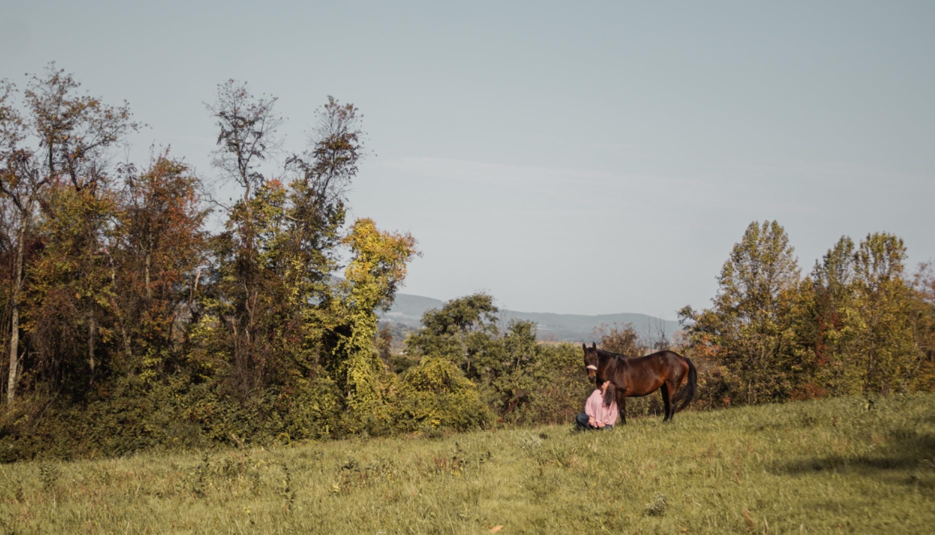 Camera Remote Shutter Release Wireless: [164'] Radio Control Accessories for Canon Rebel T7 T6 T5 T8i T7i SL3 EOS R RP R100 R7 R6 Mark II III R50V 90D 80D 70D, with AAA Battery & Removable Tripod Clip customer photo 1