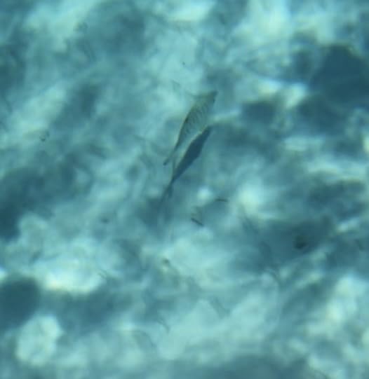 GoPro HERO9 Black - Waterproof Action Camera with Front LCD and Touch Rear Screens, 5K Ultra HD Video, 20MP Photos, 1080p Live Streaming, Webcam, Stabilization customer photo 2