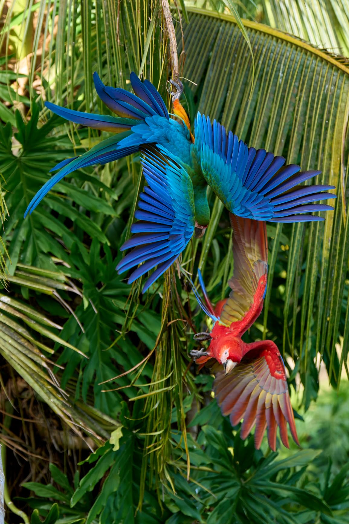 Sony FE 70-200mm F2.8 GM OSS II Full-Frame Constant-Aperture Telephoto Zoom G Master Lens (SEL70200GM2) customer photo 1