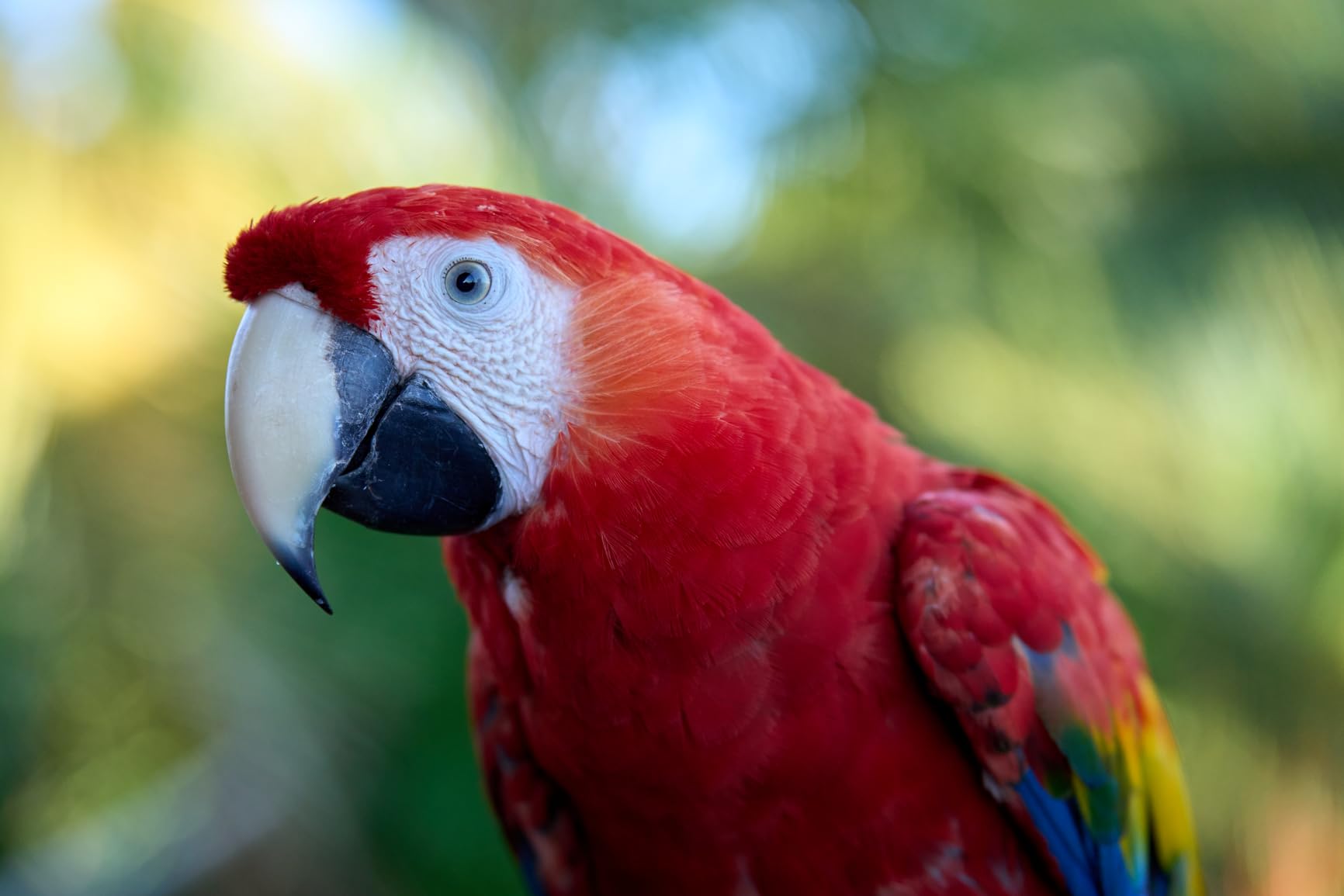 Sony FE 70-200mm F2.8 GM OSS II Full-Frame Constant-Aperture Telephoto Zoom G Master Lens (SEL70200GM2) customer photo 2