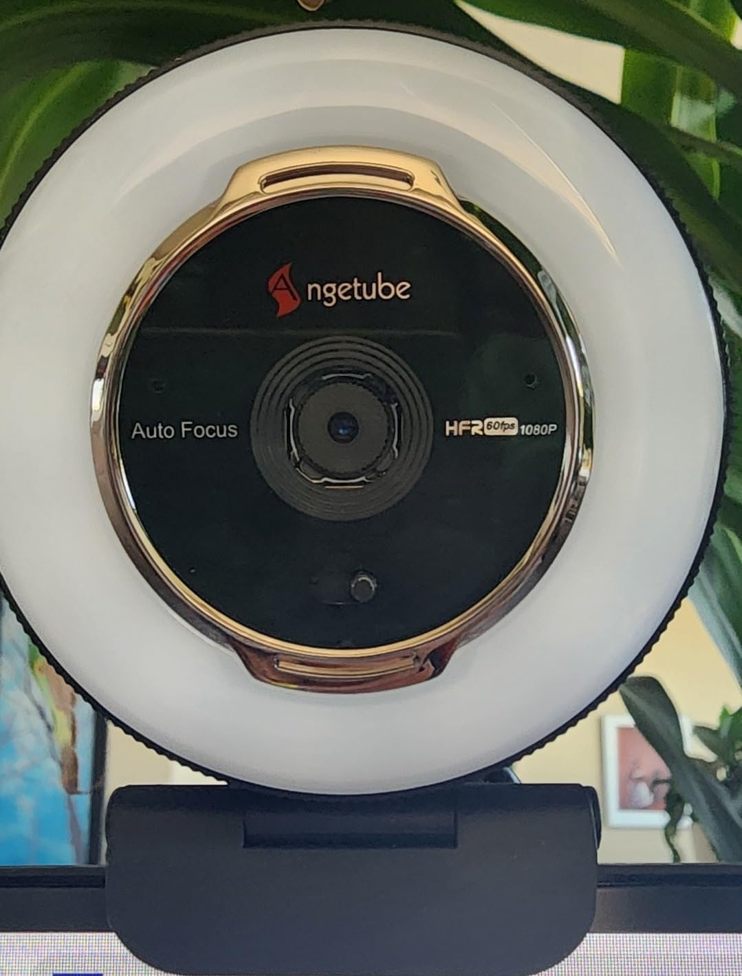 Angetube Streaming Webcam with Microphone: 1080P 60FPS USB Web Cam with Ring Light and Remote Control customer photo 1