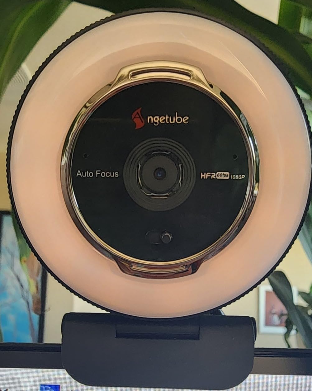 Angetube Streaming Webcam with Microphone: 1080P 60FPS USB Web Cam with Ring Light and Remote Control customer photo 2