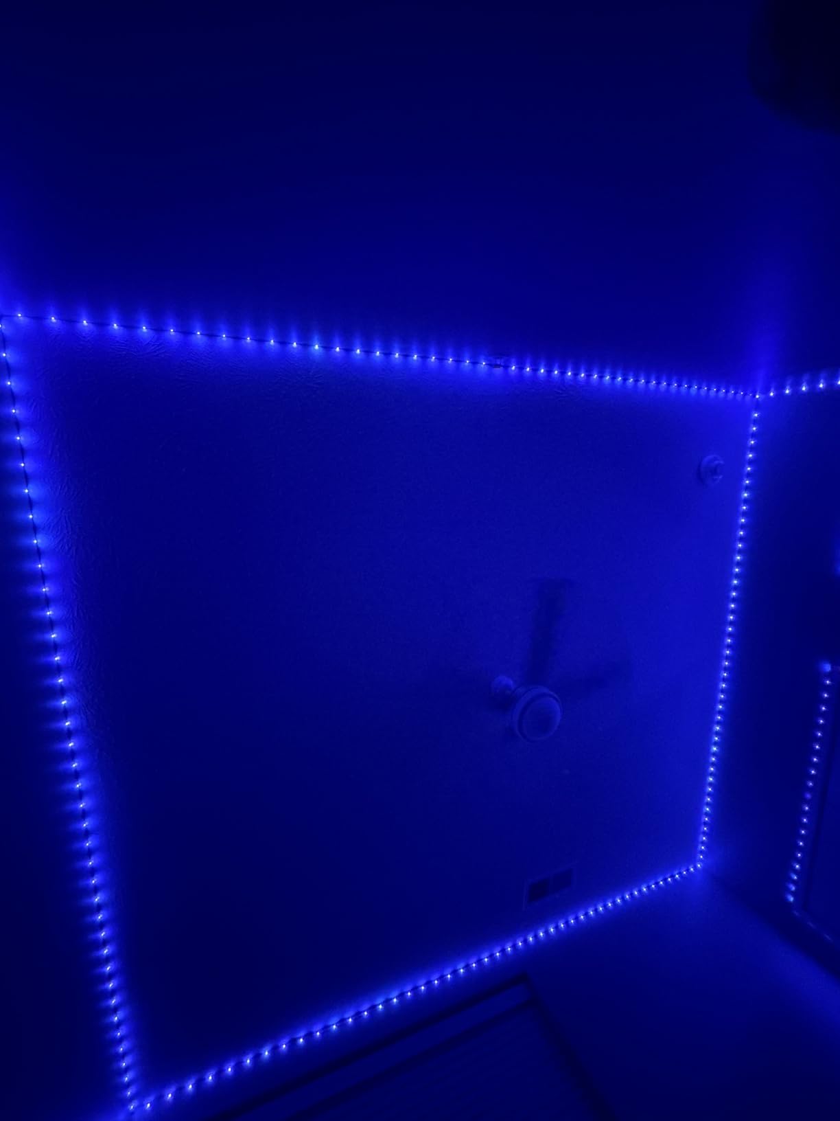 KSIPZE 100ft Led Strip Lights RGB Music Sync Color Changing Led Lights with Smart App Control Remote Led Lights for Bedroom Room Lighting Flexible Home Decor customer photo 2