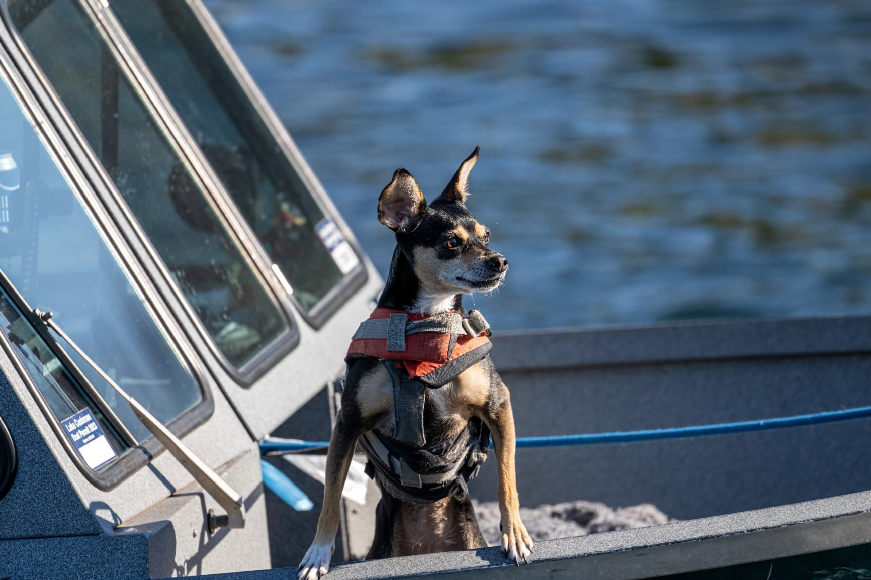 NIKKOR Z 800mm f/6.3 VR S customer photo 2