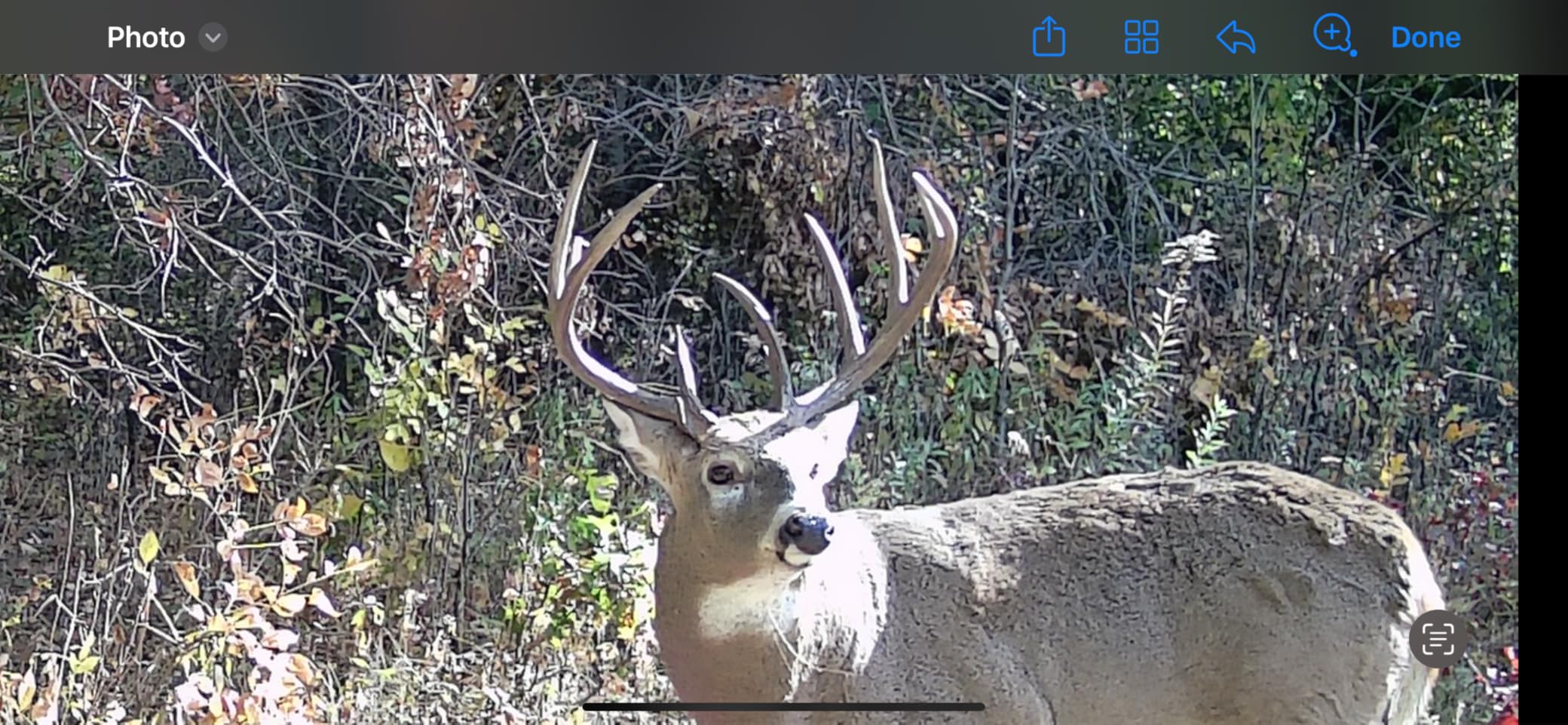 GardePro E5S Trail Camera (Non-Cellular, Non-WiFi), 64MP Photo & 1296P HD Video, 0.1s Trigger, 100ft No-Glow Night Vision, Motion Activated Wildlife Camera customer photo 2