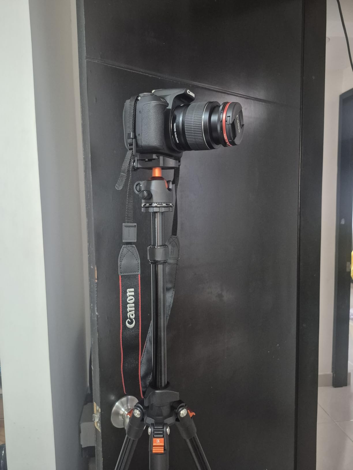 K&F CONCEPT 64 inch/163 cm Camera Tripod,Lightweight Travel Outdoor DSLR Tripods with 360 Degree Ball Head Load Capacity 17.6 lbs/8 kg,Cellphone Clip for Smartphone Live Streaming Vlog O234A1+BH-36 customer photo 2