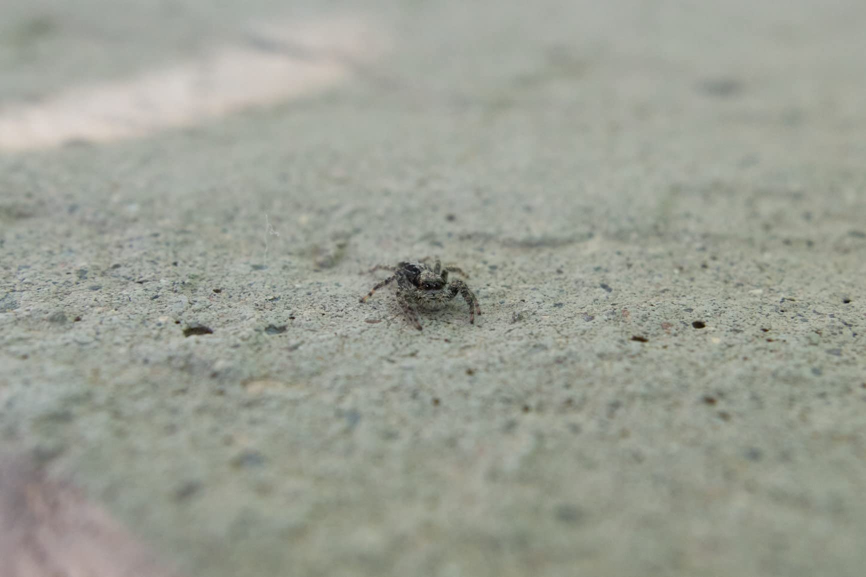 Tamron 17-70mm F/2.8 Di III-A RXD for APS-C Fujifilm Mirrorless Cameras customer photo 2