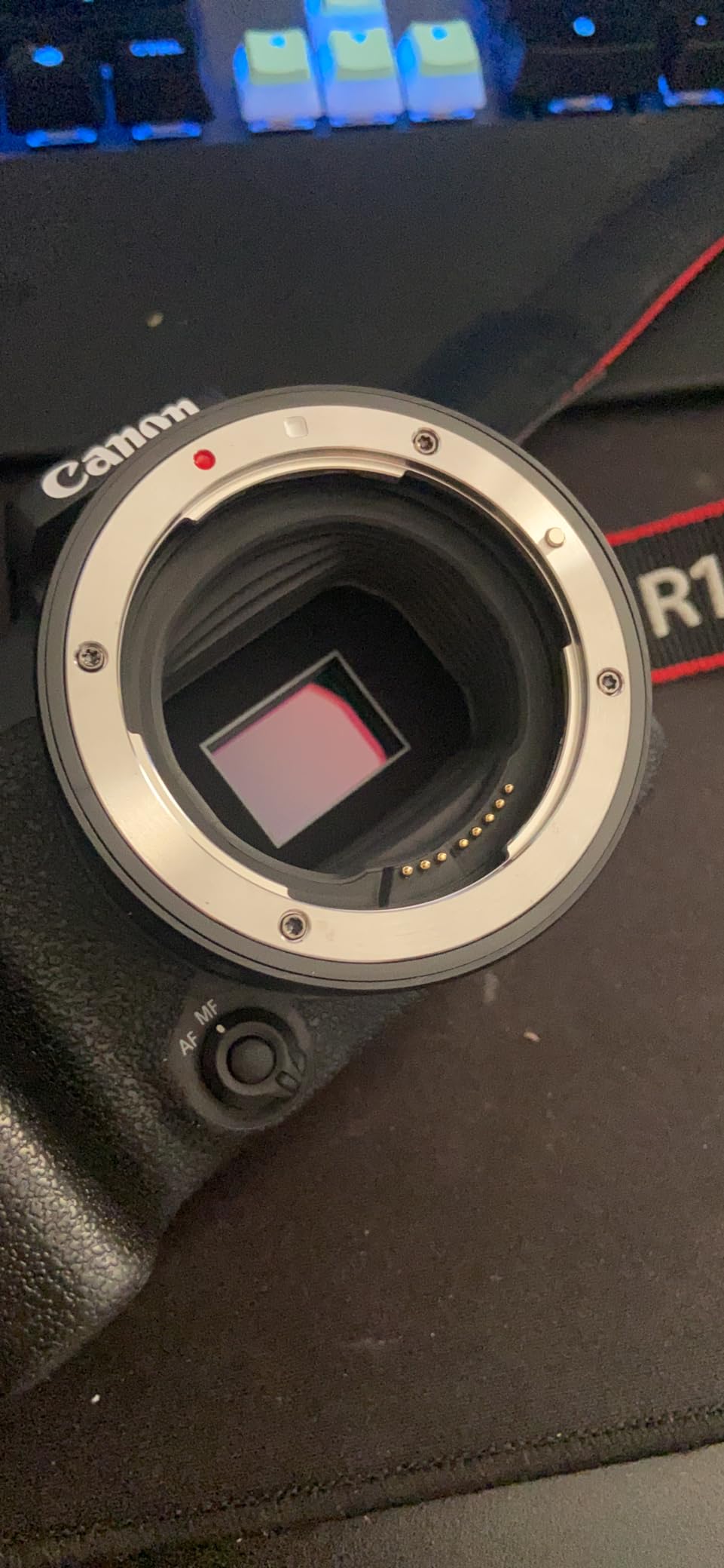 Lens Mount Adapter EF-EOS R for Canon EF/EF-S Lens to Canon EOS R RP R5 R6 R7 R10 Cameras customer photo 2