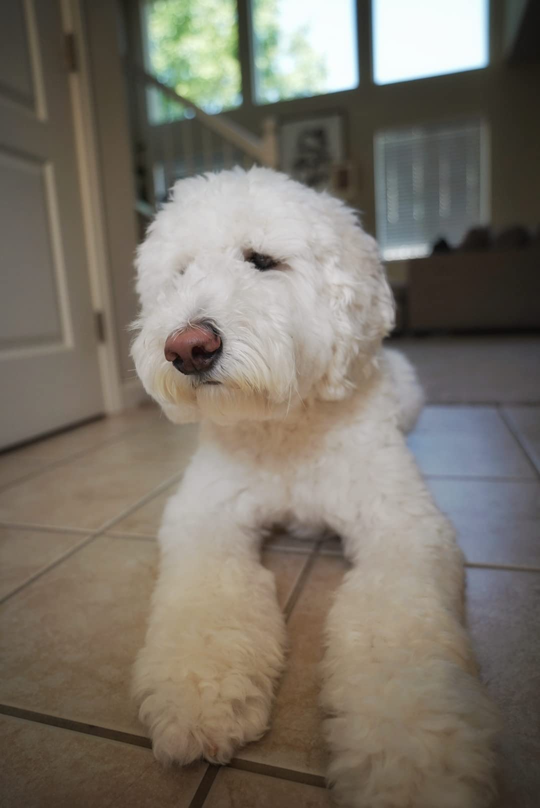 NEEWER 2 in 1 67mm Variable ND Filter ND2-ND32&CPL Filter(Circular Polarizer Filter) No X Cross/30 Layer Nano Coated/HD Optical Glass/Ultra Slim Aluminum Alloy Frame/Water Repellent/Scratch Resistant customer photo 2