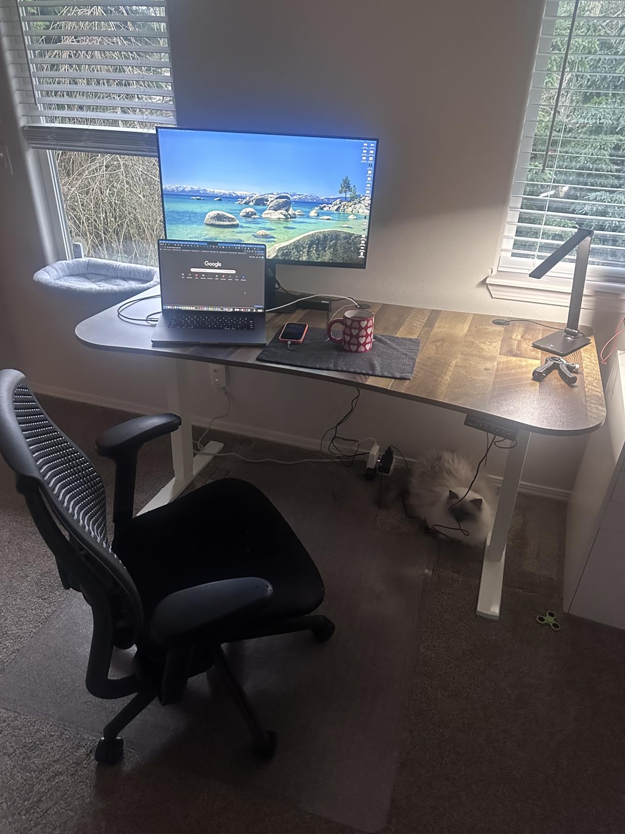 VIVO Electric 63 x 32 in Standing Desk, Memory Height Adjustment, 1B Series, Holds 220 lbs, Dark Walnut Top Black Frame customer photo 1