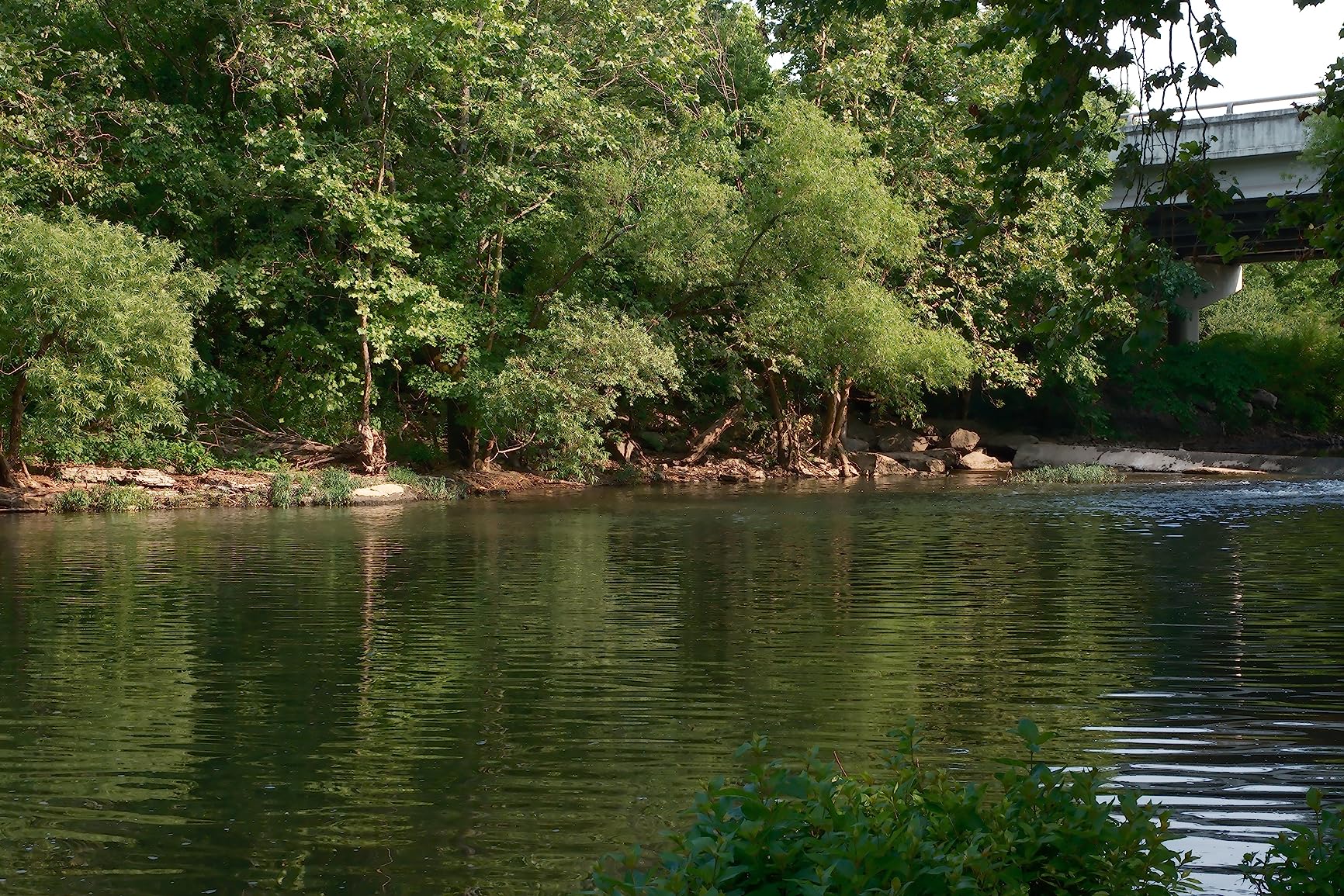 Fujifilm X-H2 Mirrorless Digital Camera XF16-80mm Lens Kit - Black customer photo 1